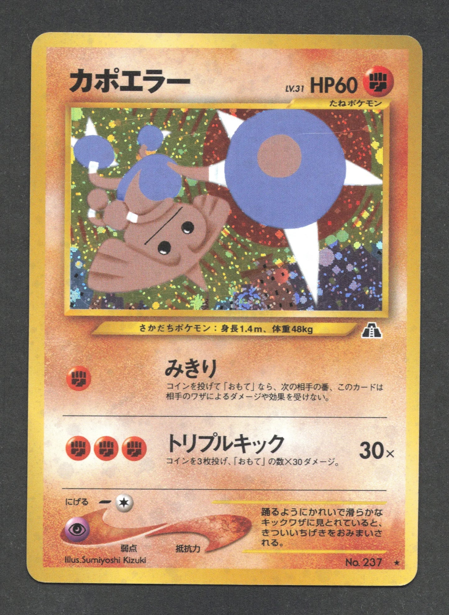237 Kapoera HOLO JP - Crossing the Ruins