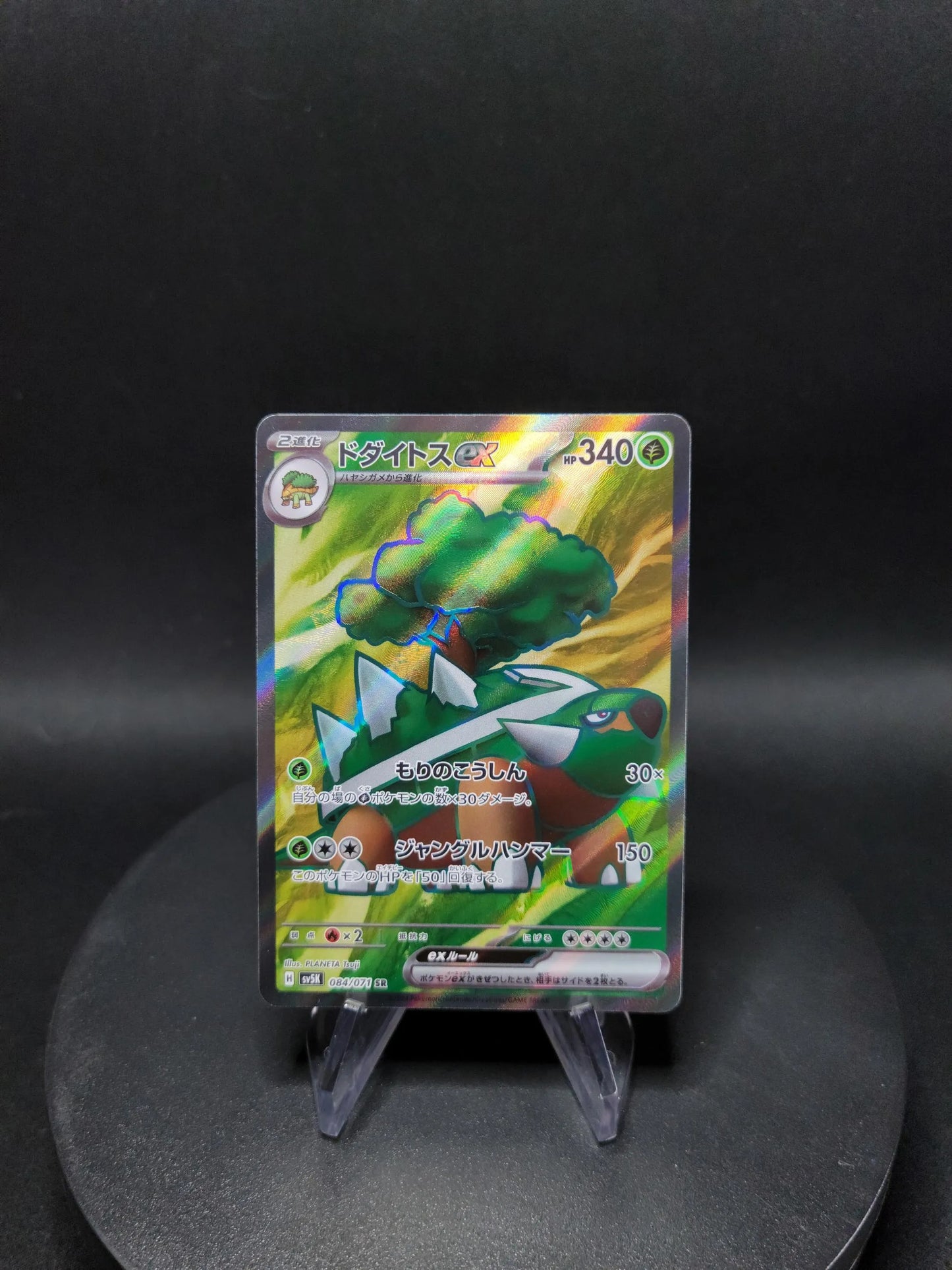 084/071 Torterra EX JP - Wild Force