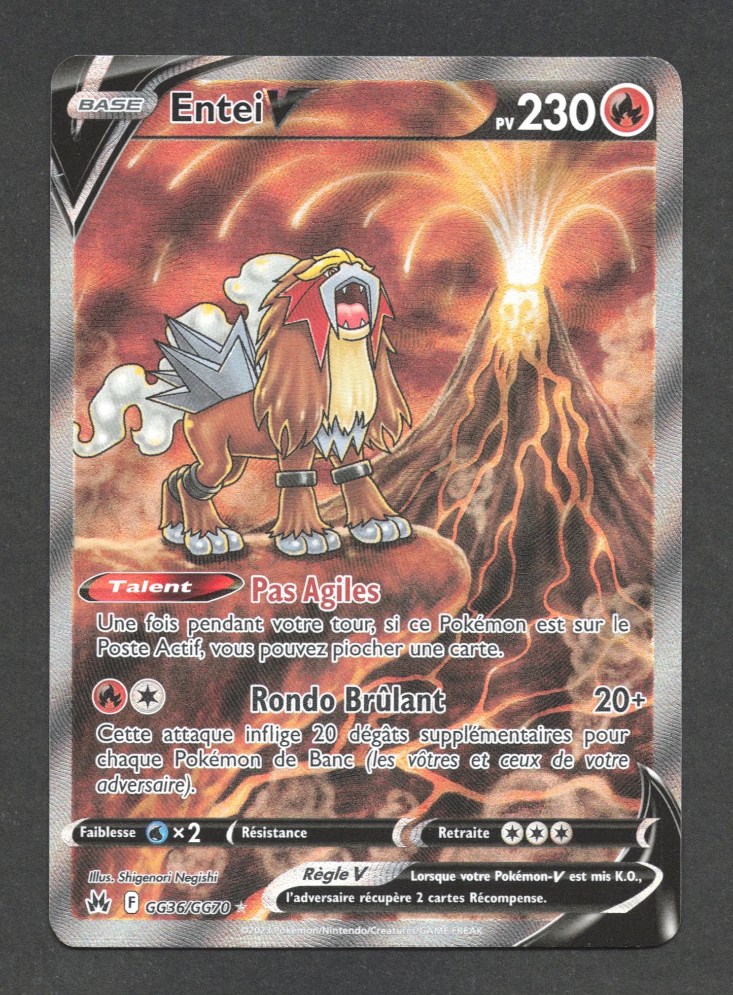 GG36/GG70 Entei V - Zénith Suprême