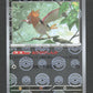 021/165 Piafabec POKEBALL JP - Pokémon Card 151