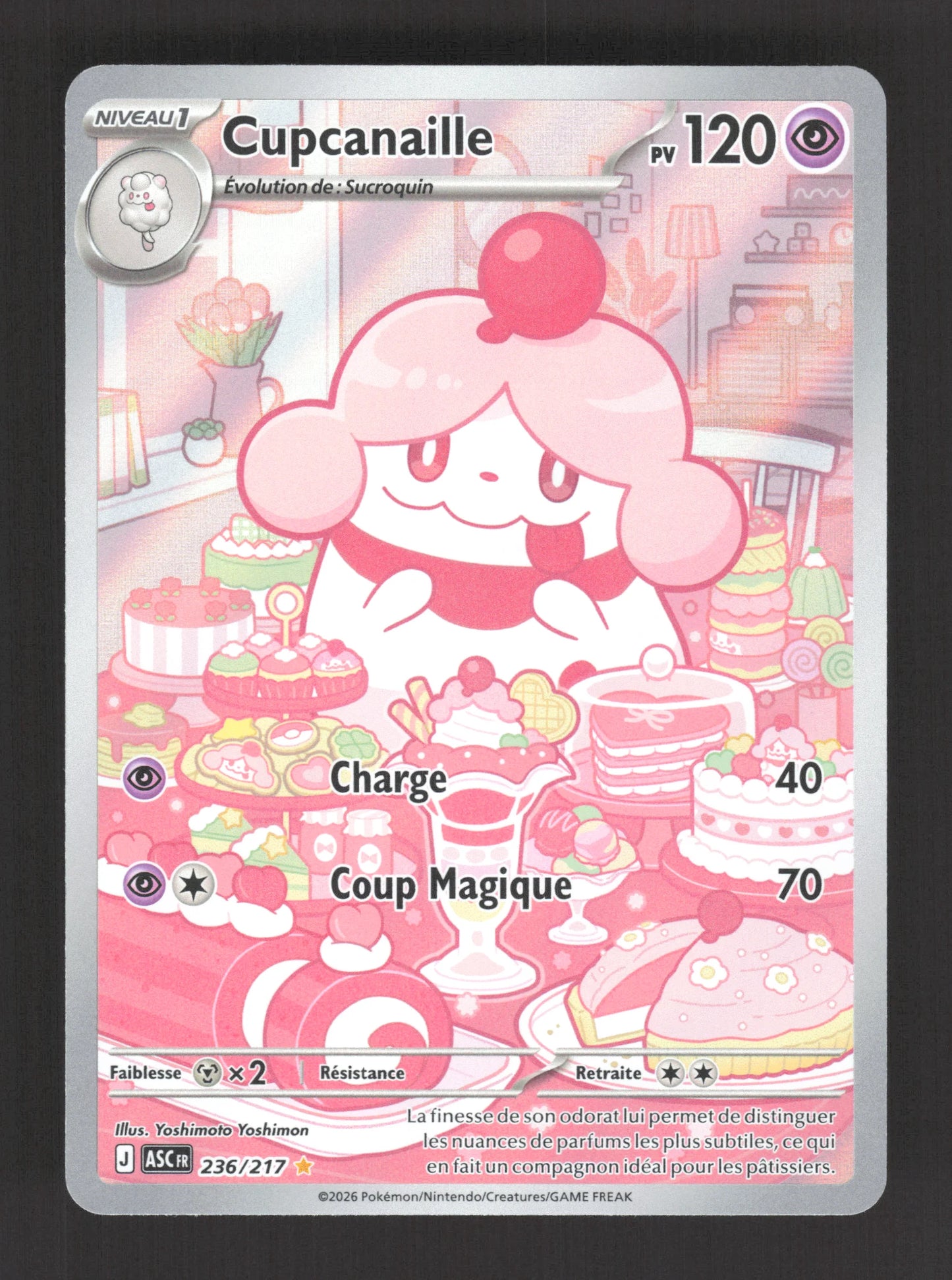 236/217 Cupcanaille AR - Héros Transcendants