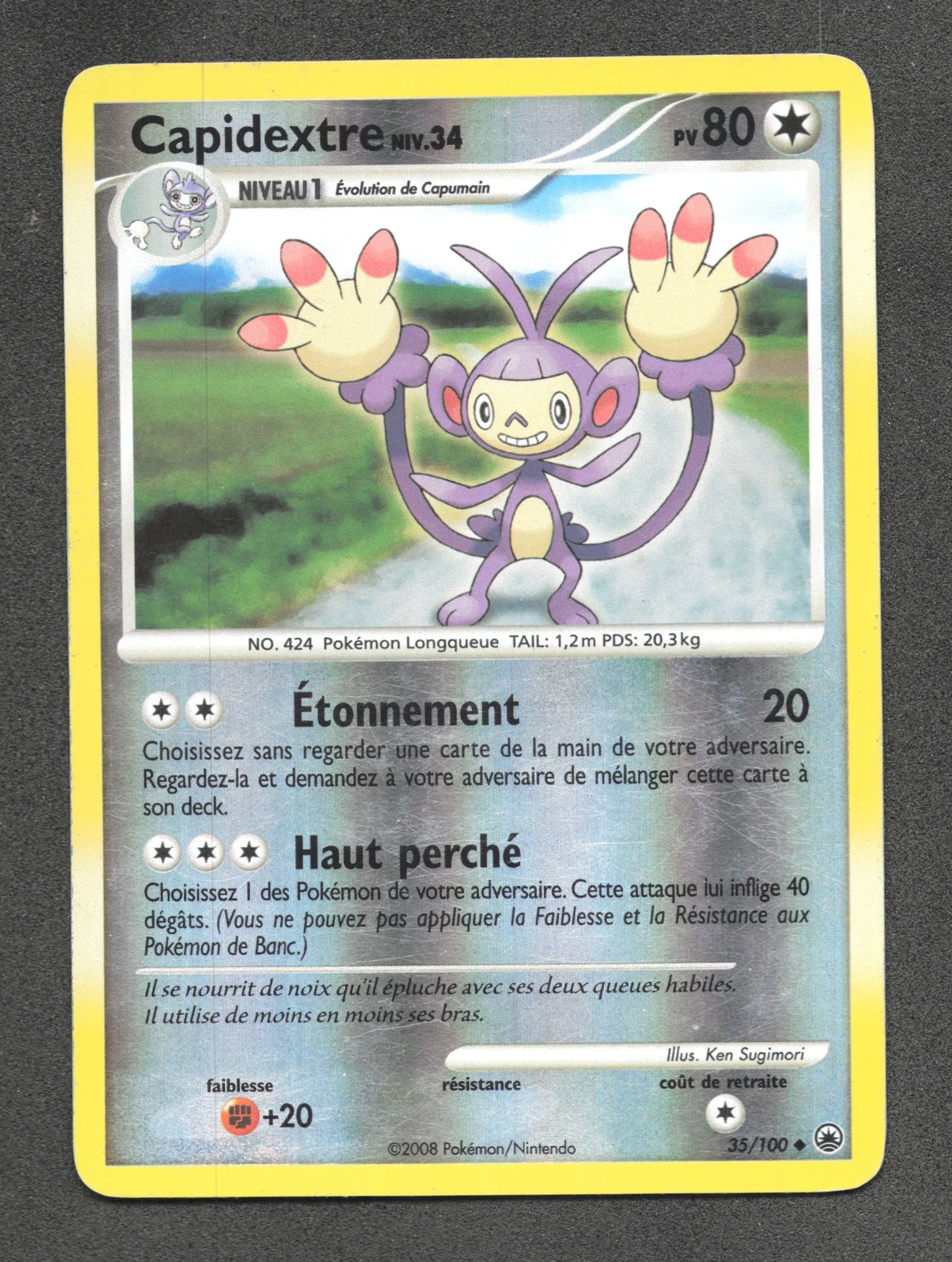 35/100 Capidextre REVERSE - Aube Majestueuse