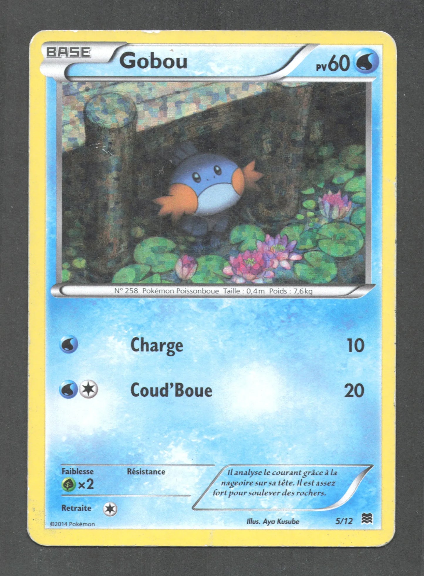 5/12 Gobou HOLO - McDonald's 2015