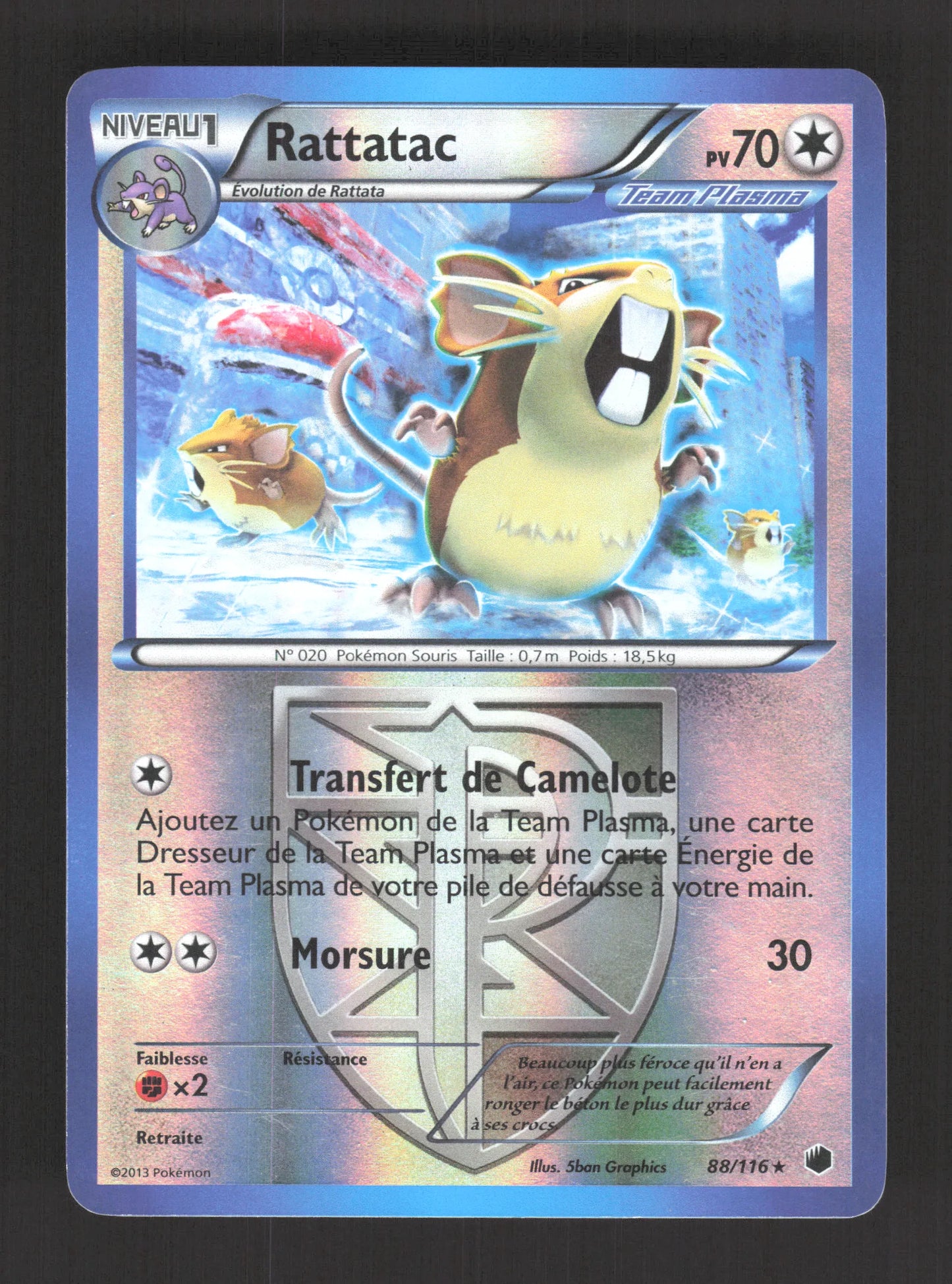 88/116 Rattatac REVERSE - Glaciation Plasma