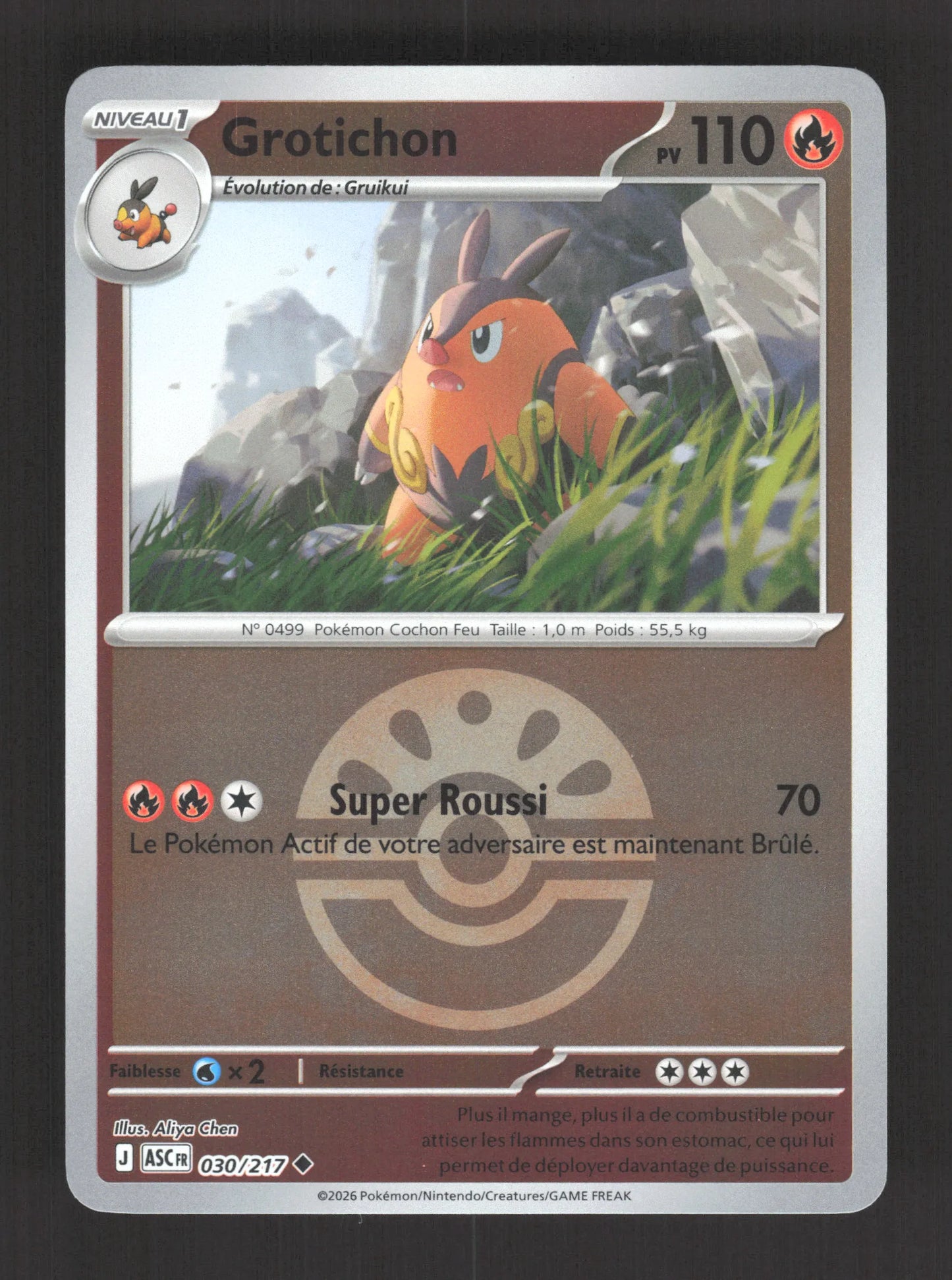 030/217 Grotichon POKEBALL - Héros Transcendants