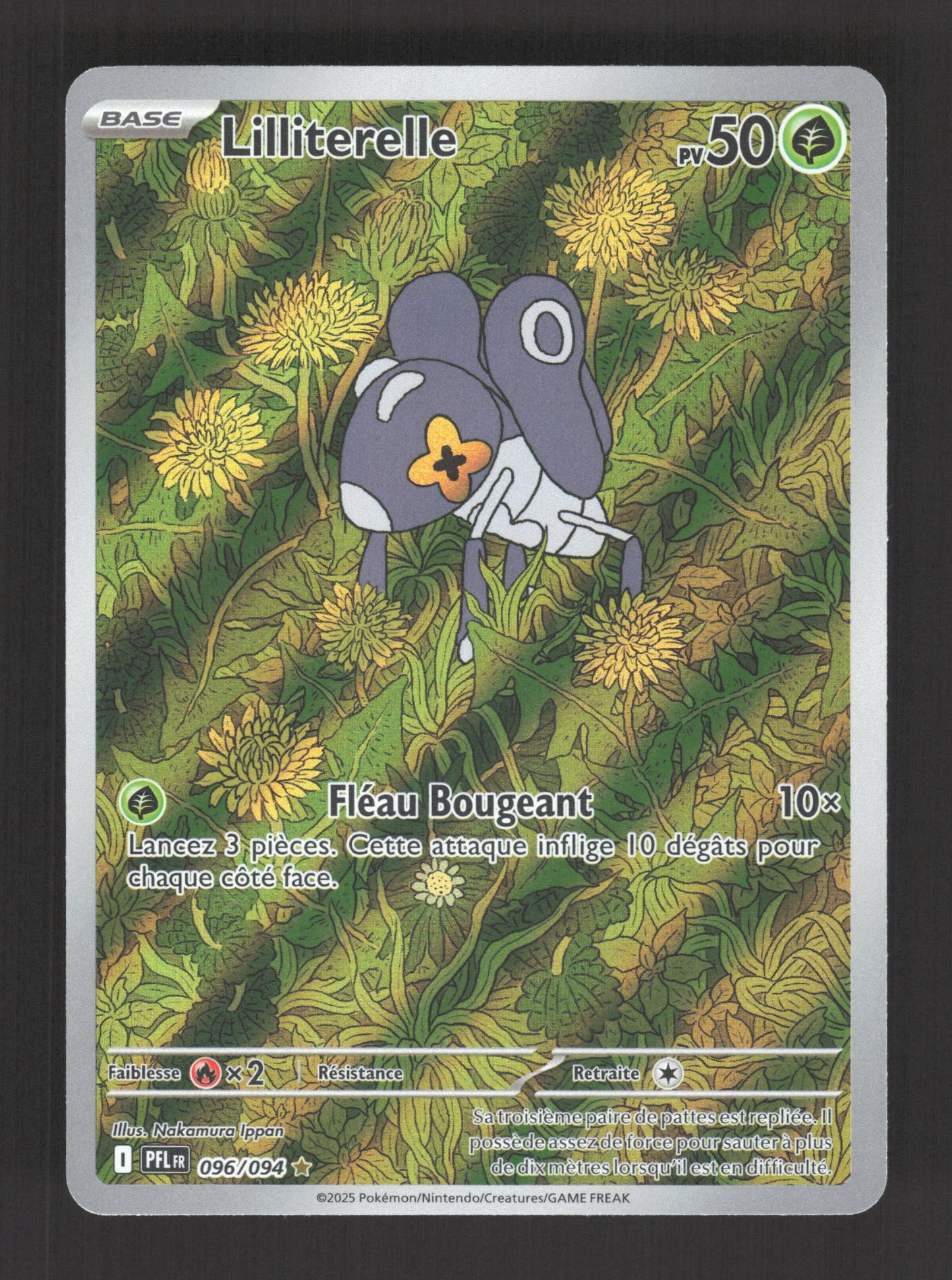 096/094 Lilliterelle AR - Flammes Fantasmagoriques