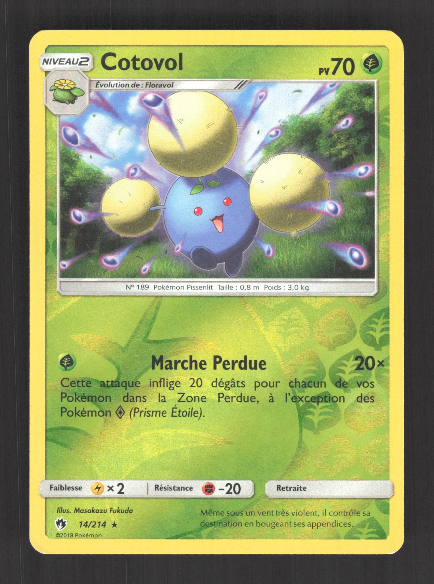 14/214 Cotovol REVERSE - Tonnerre Perdu
