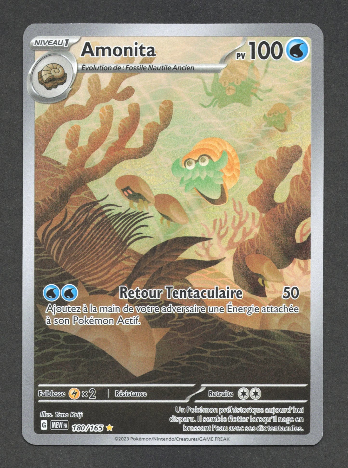 180/165 Amonita AR - 151