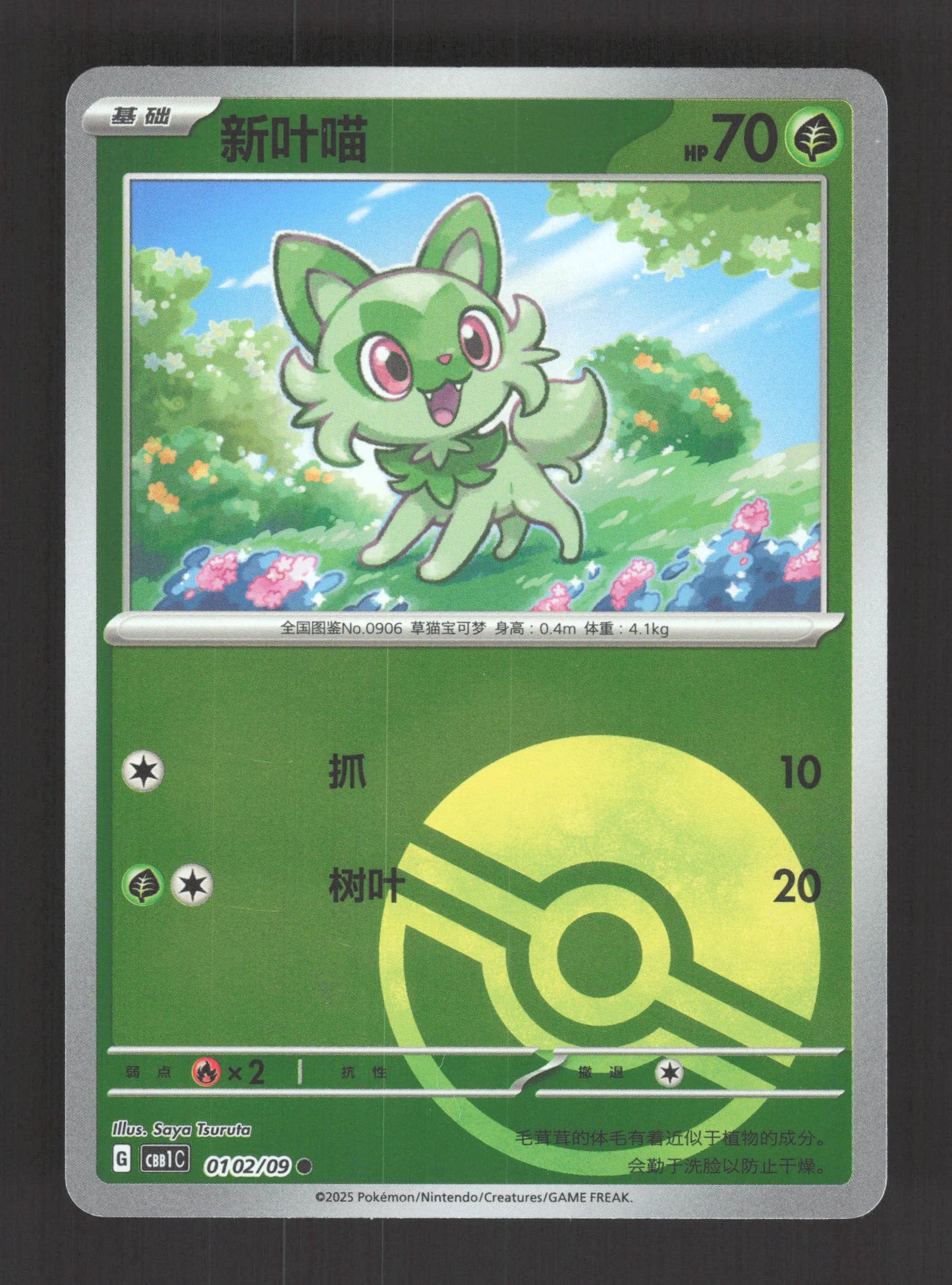 0102/09 Poussacha POKEBALL CN - Chinois