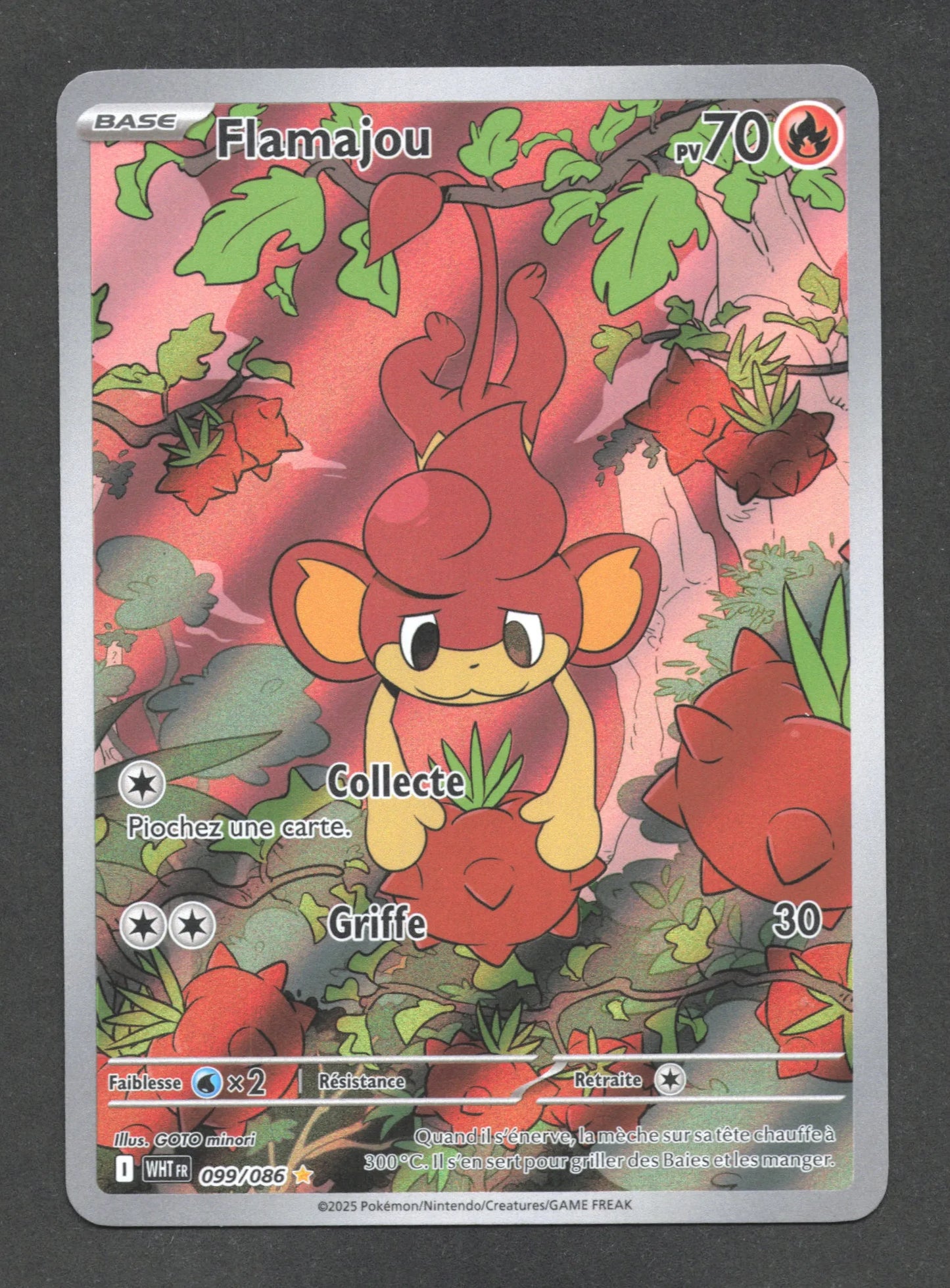 099/086 Flamajou AR - Flamme Blanche