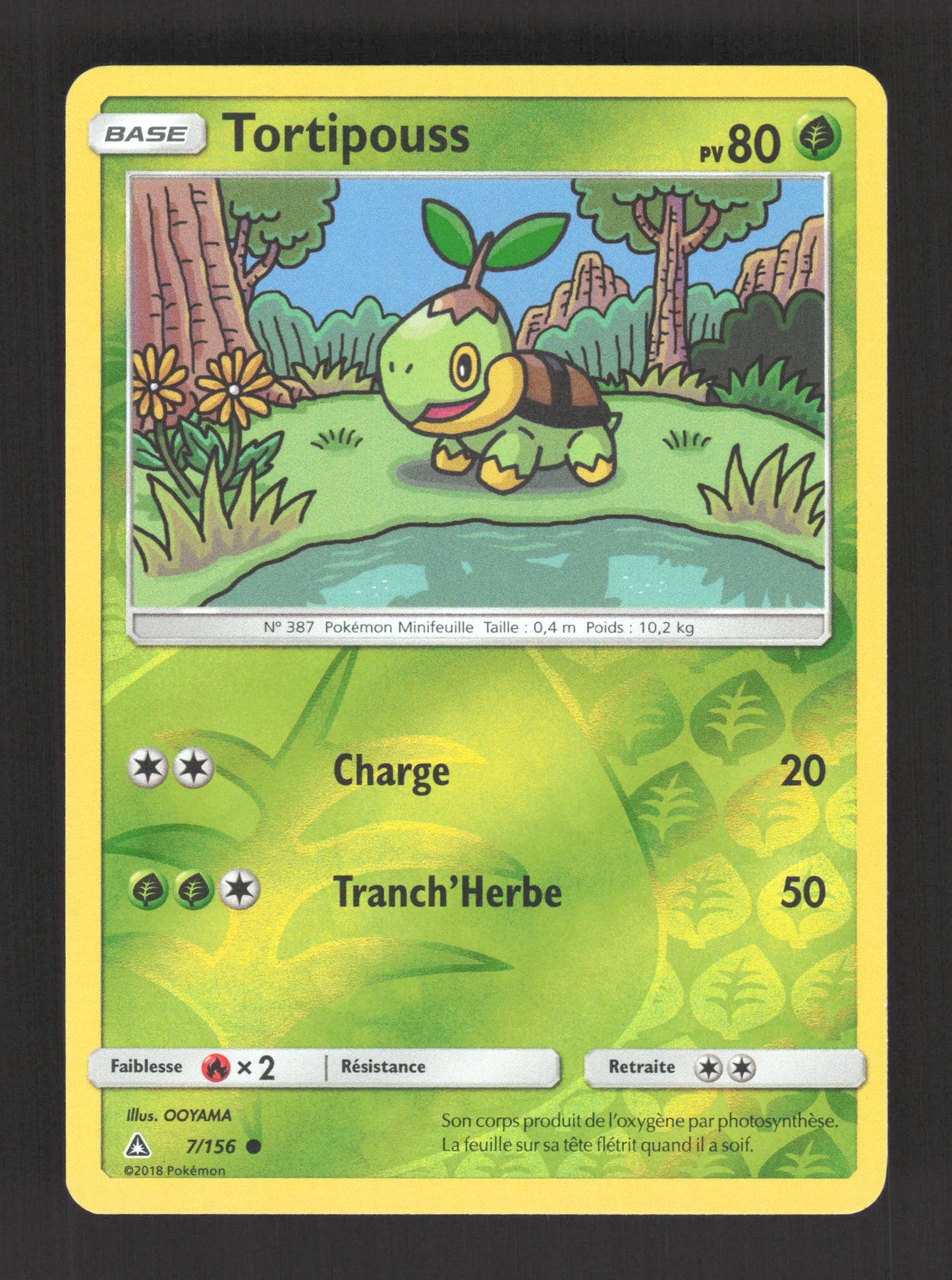 7/156 Tortipouss REVERSE - Ultra-Prisme