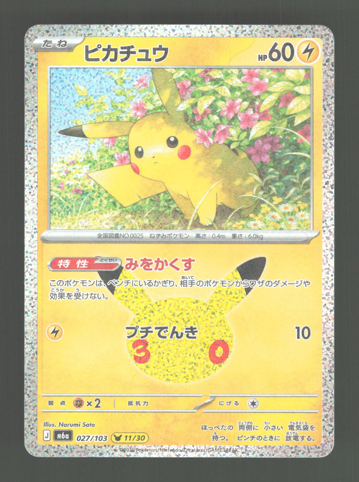 027/103 Pikachu HOLO JP - 30th Celebration