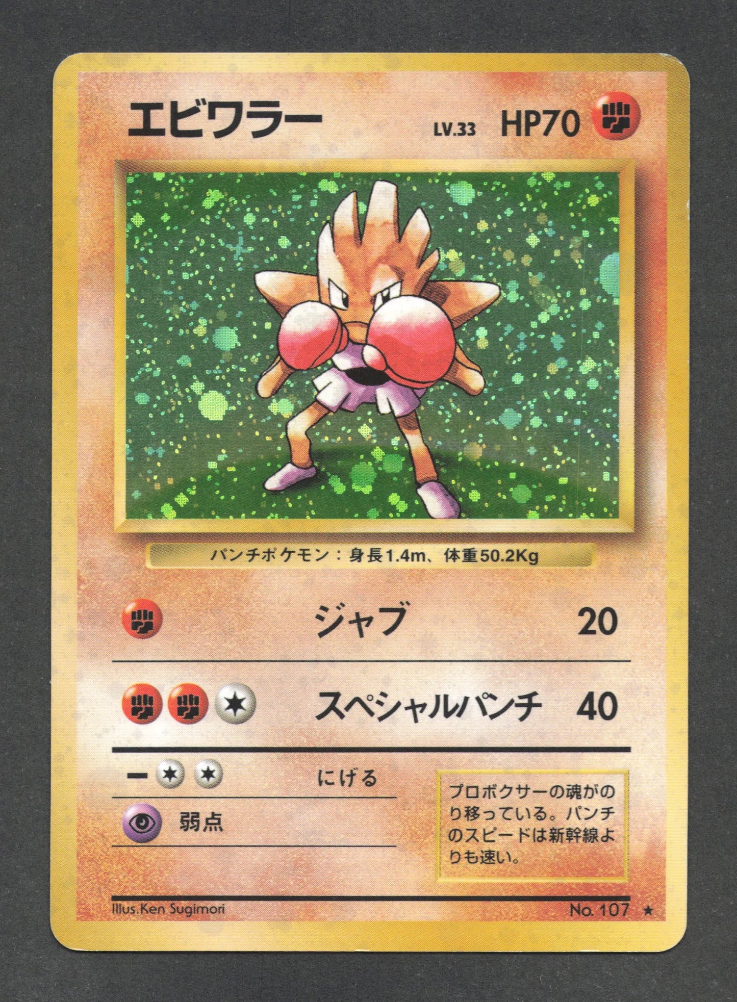 107 Tygnon HOLO JP - Expansion Pack