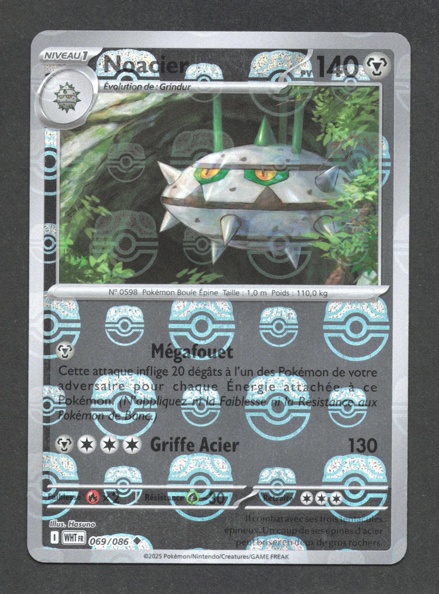 069/086 Noacier MASTERBALL - Flamme Blanche - Masterball