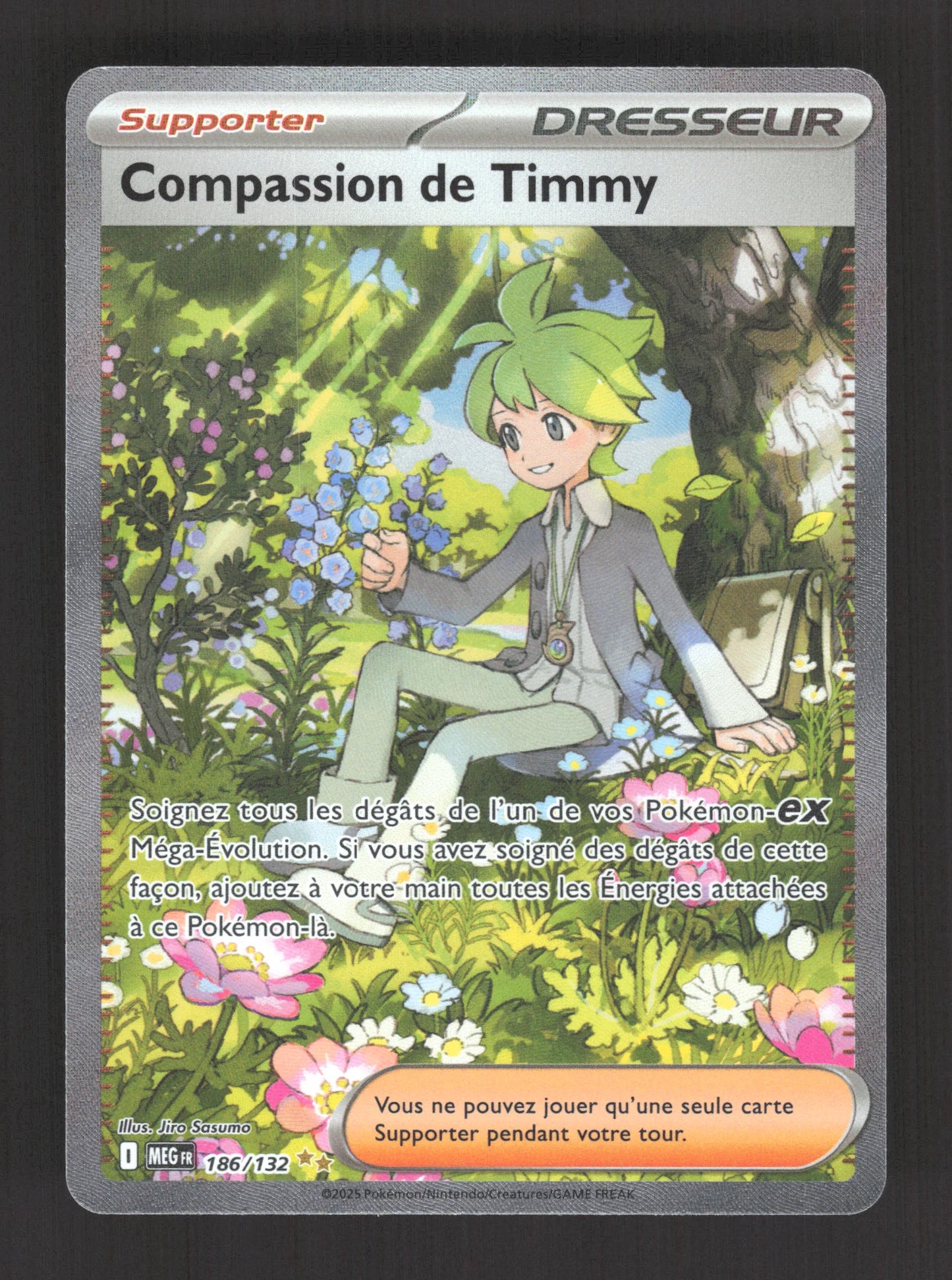 186/132 Compassion de Timmy DRESSEUR - Méga-Évolution
