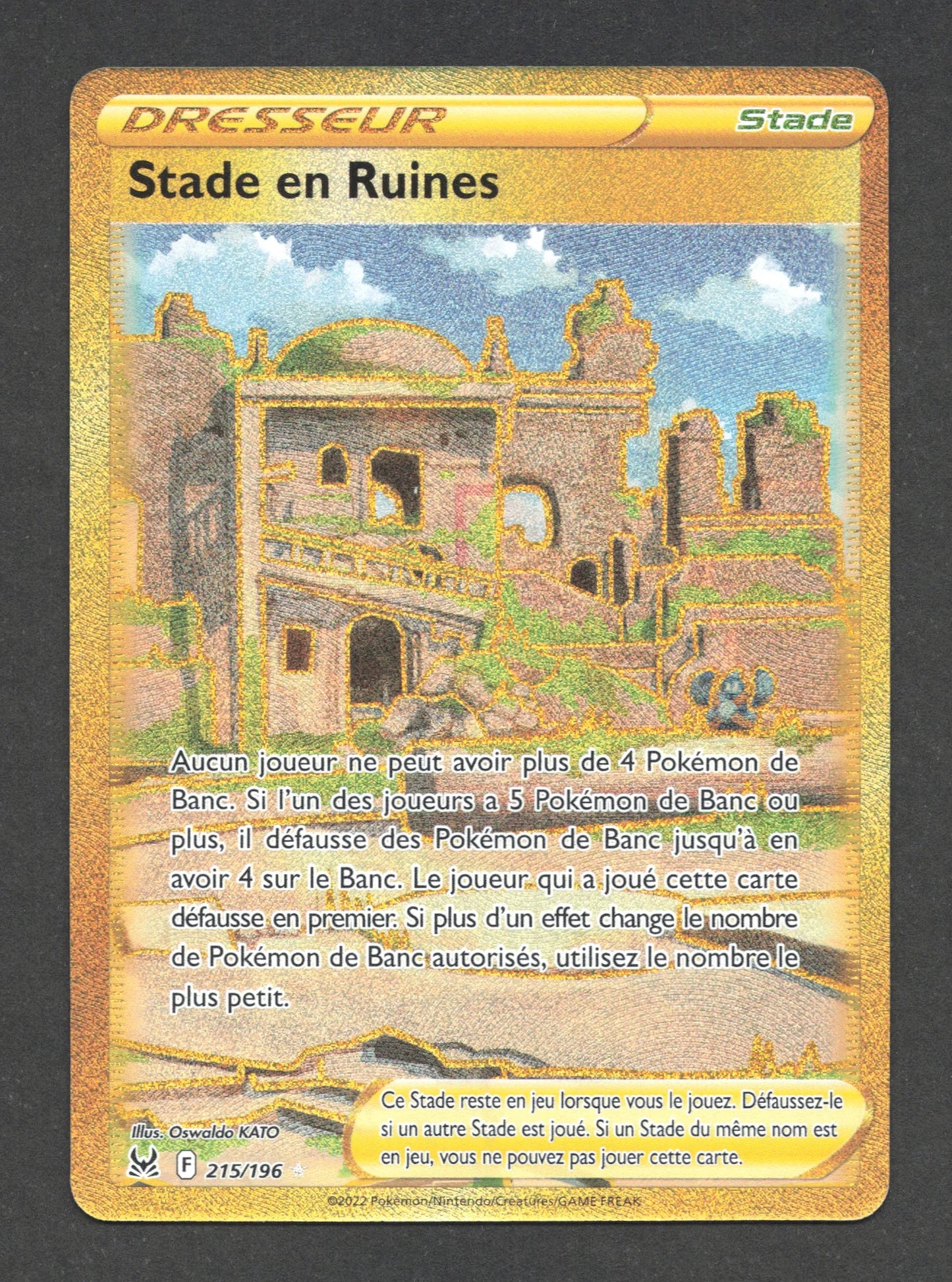215/196 Stade en Ruines DRESSEUR - Origine Perdue