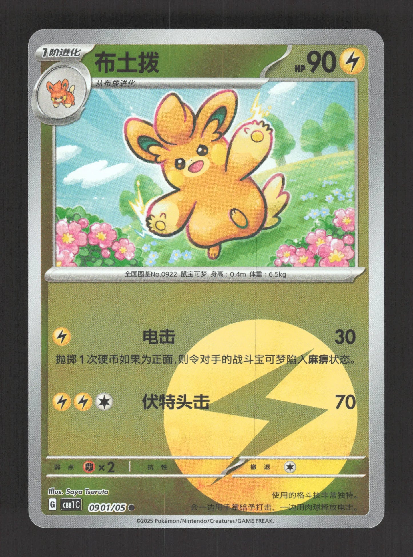 0901/05 Pohmotte REVERSE ENERGIE CN - Chinois