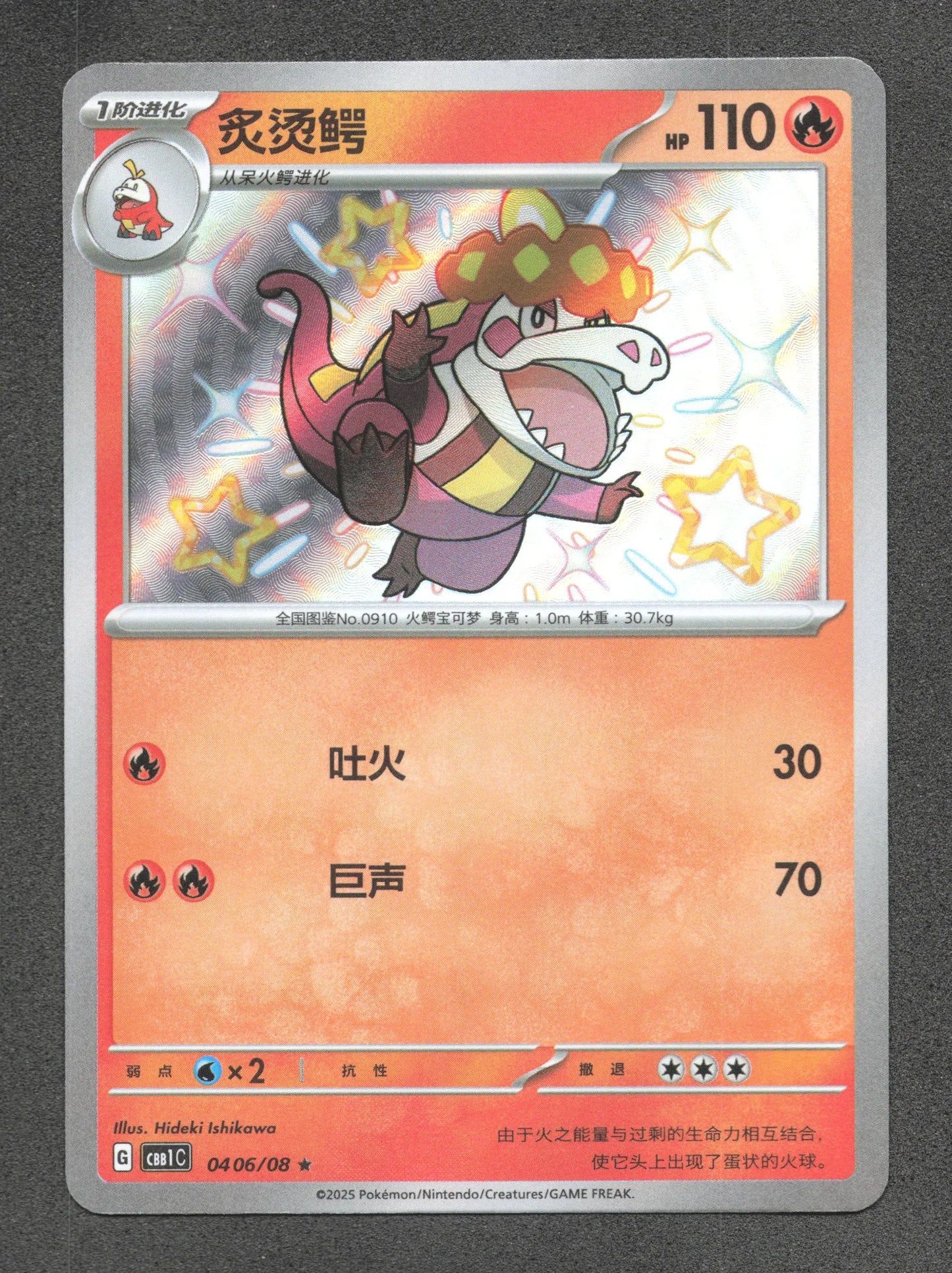 0406/08 Crocogril SHINY CN - Chinois
