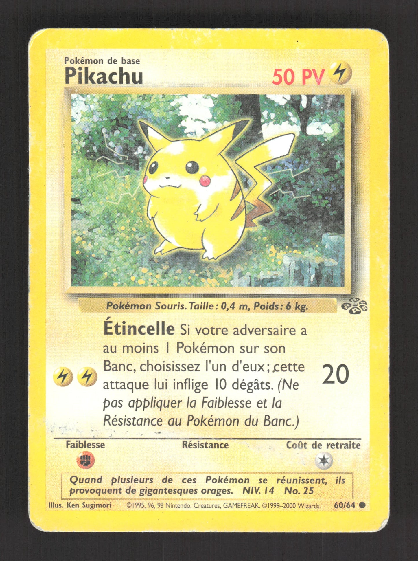60/64 Pikachu CO - Jungle