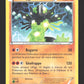 53/124 Zygarde HOLO MOSAIQUE - Impact des Destins