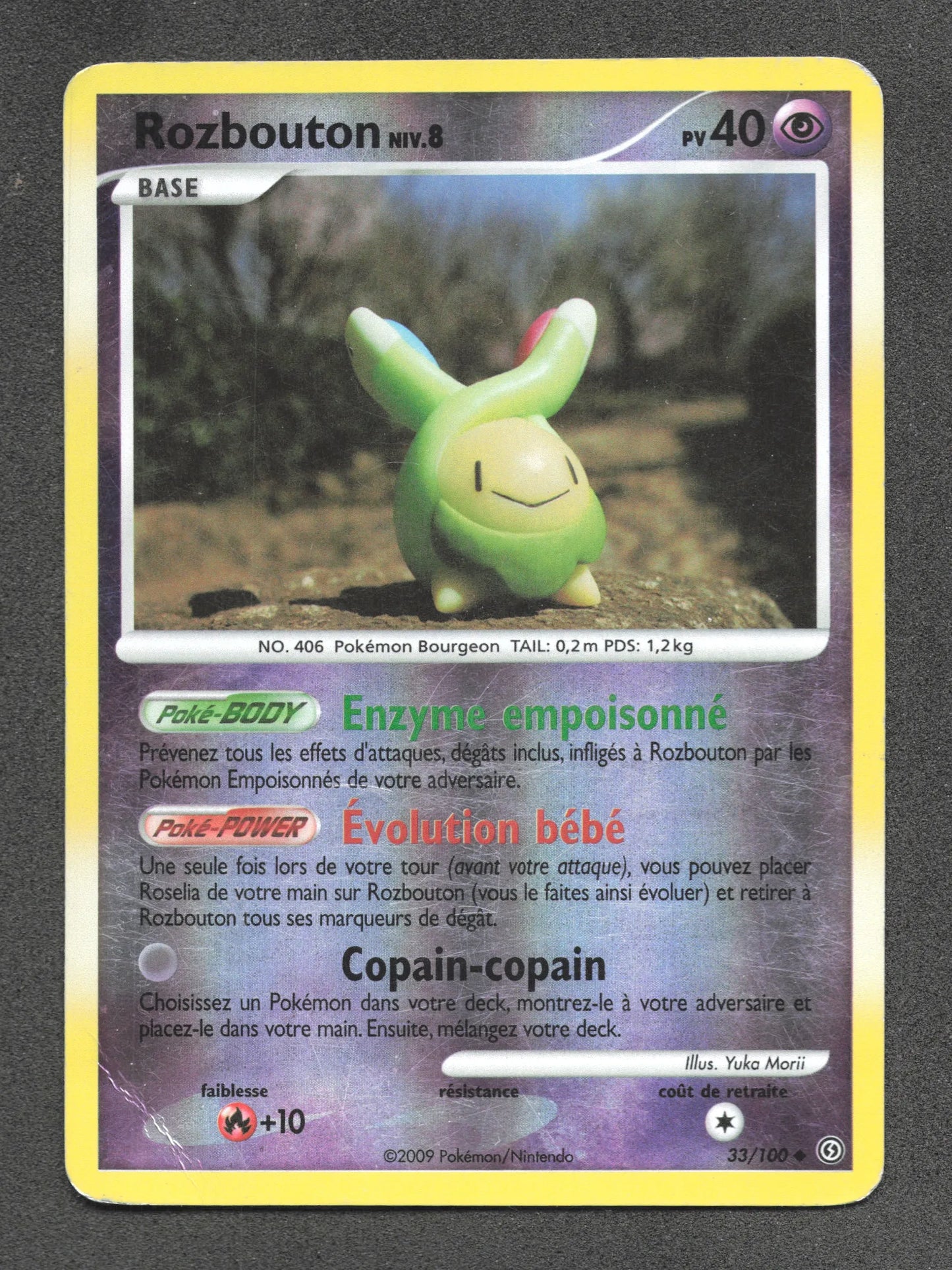 33/100 Rozbouton REVERSE - Tempête