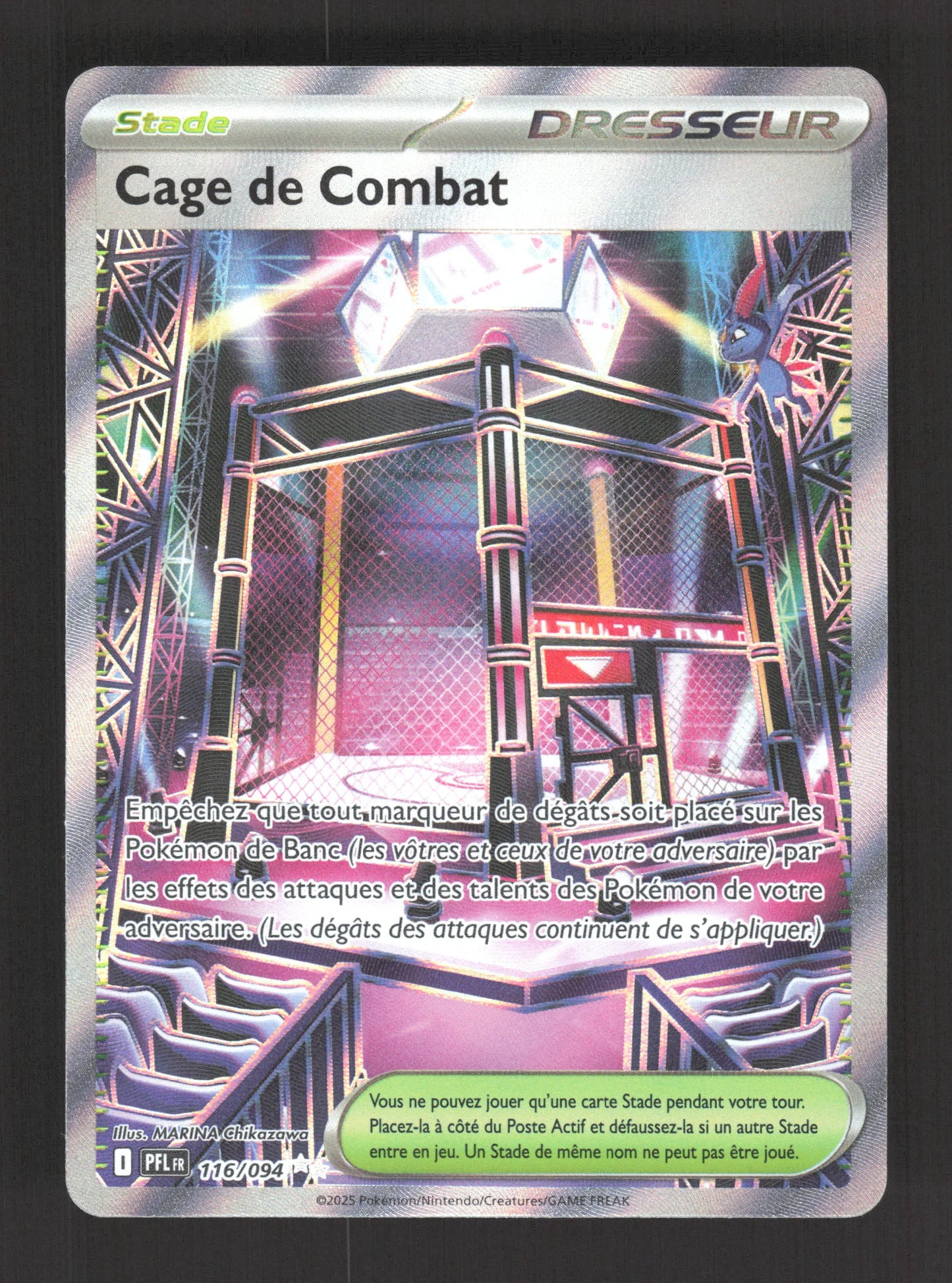 116/094 Cage de Combat DRESSEUR - Flammes Fantasmagoriques