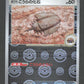 155/165 Fossile Dome Ancien POKEBALL JP - Pokémon Card 151