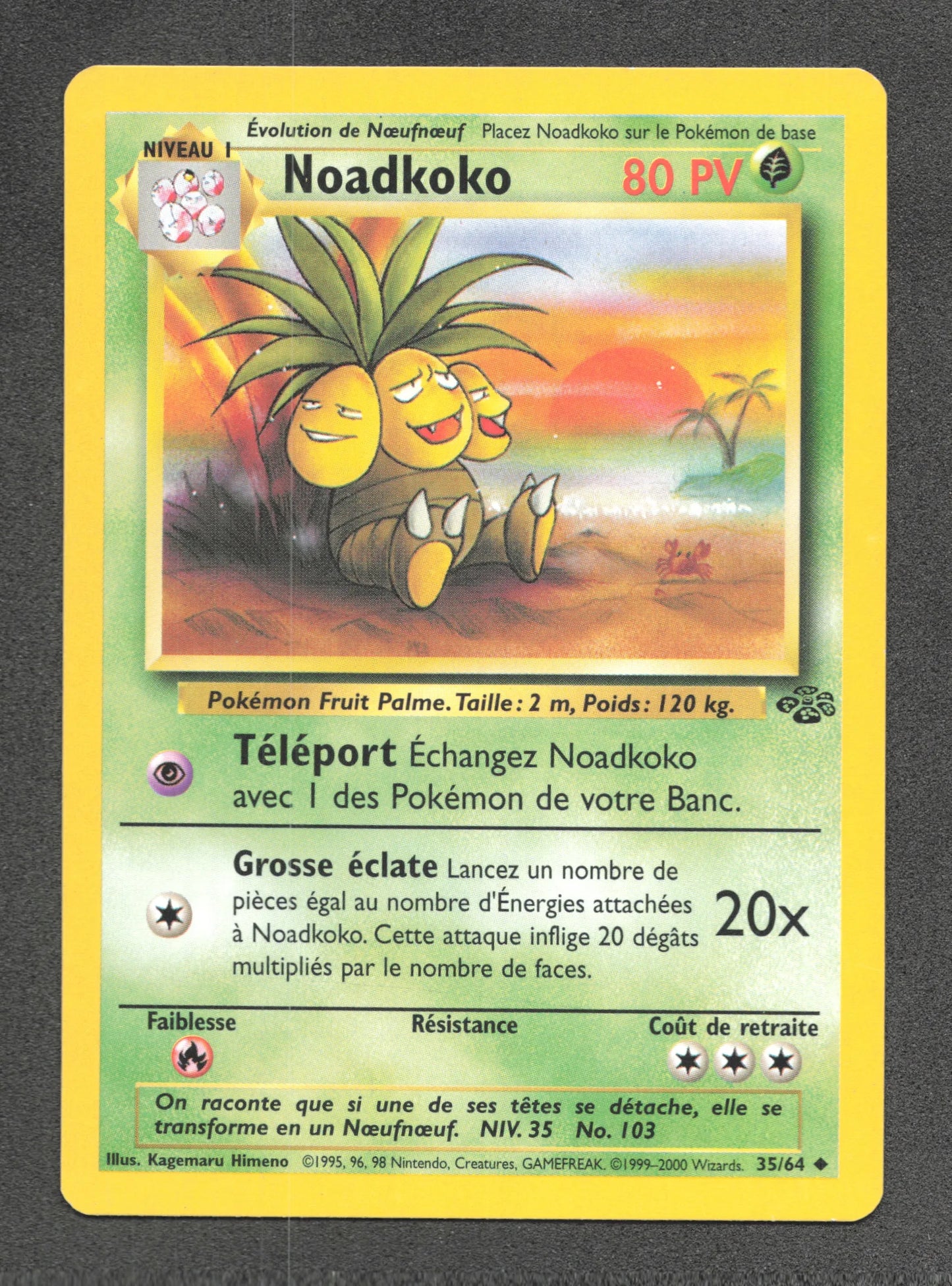 35/64 Noadkoko UNCO - Jungle
