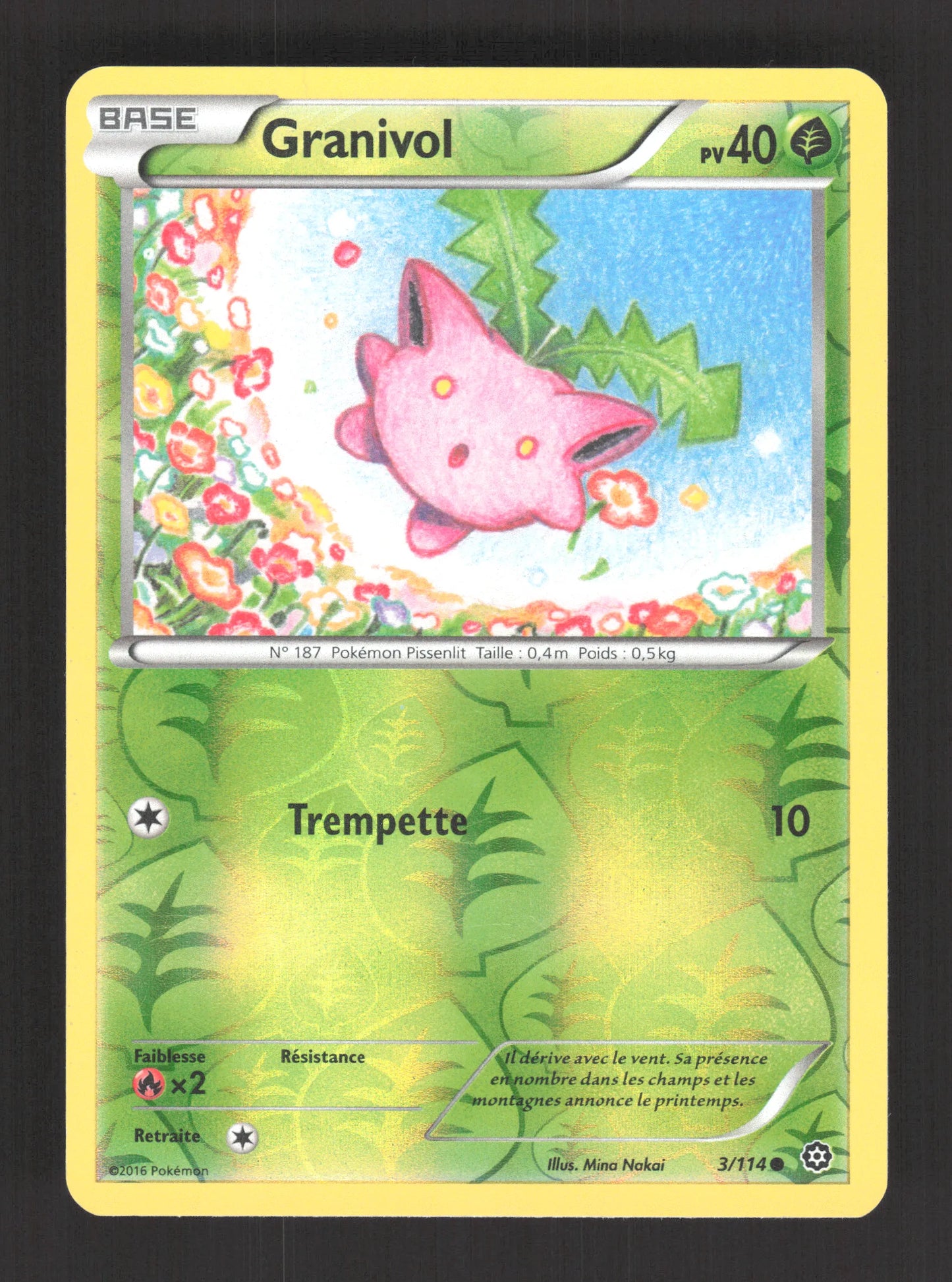 3/114 Granivol REVERSE - Offensive Vapeur
