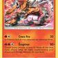 47/214 Entei HOLO MOSAIQUE - Tonnerre Perdu