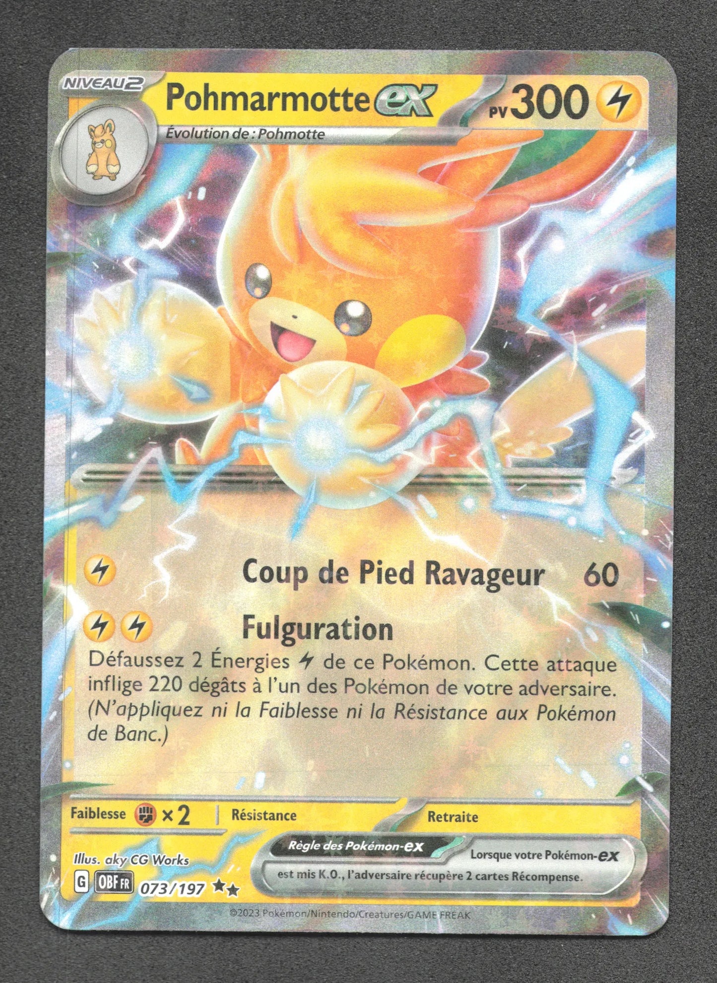 073/197 Pohmarmotte EX - Flammes Obsidiennes