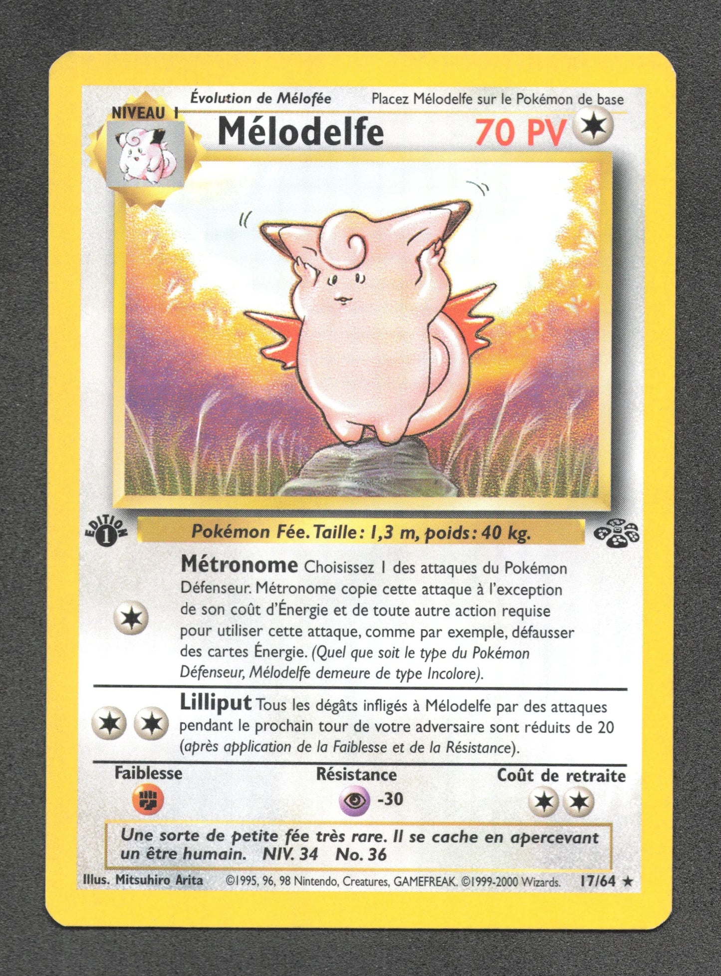 17/64 Melodelfe RARE ED1 - Jungle