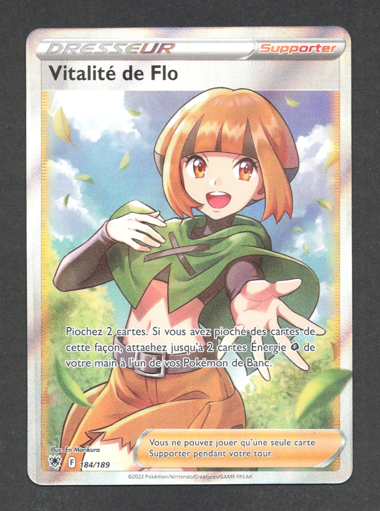 184/189 Vitalite de Flo DRESSEUR - Astres Radieux