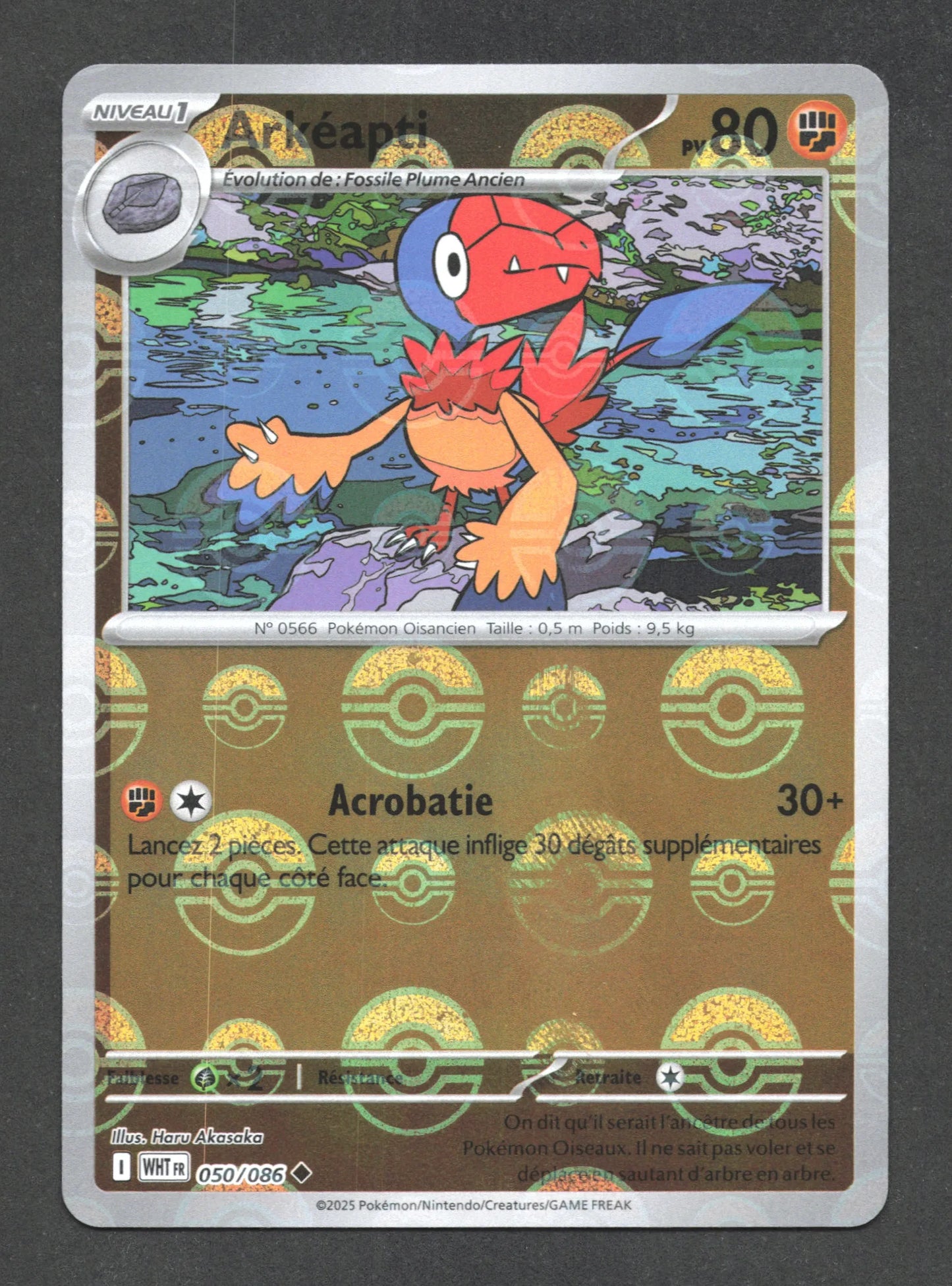 050/086 Arkeapti POKEBALL - Flamme Blanche - Pokeball