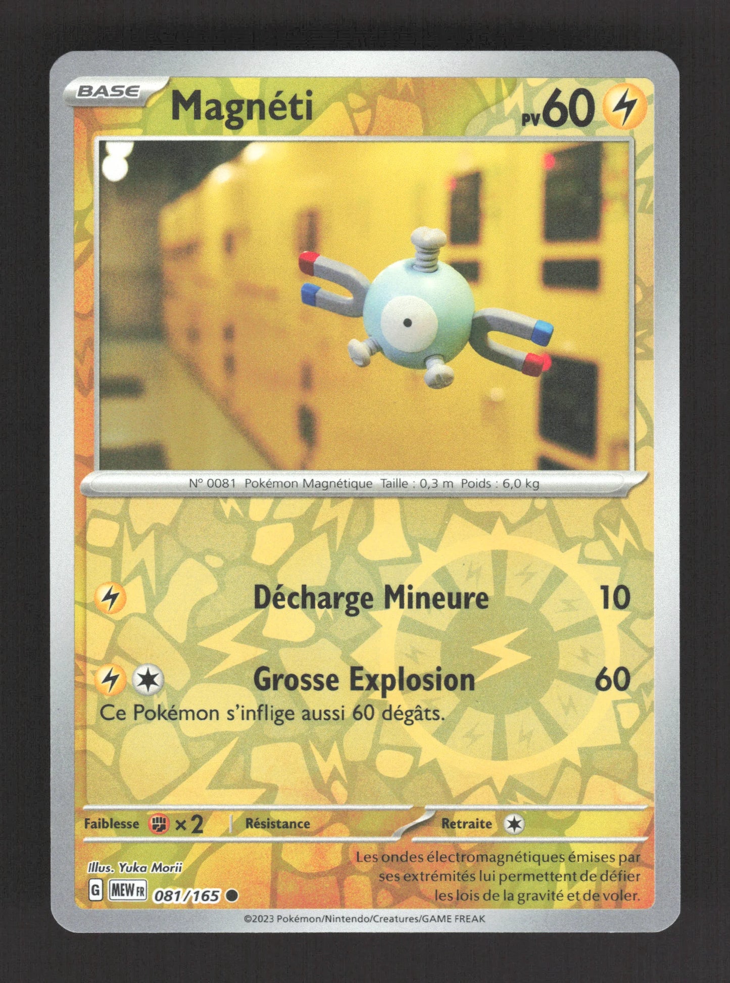 081/165 Magneti REVERSE - 151