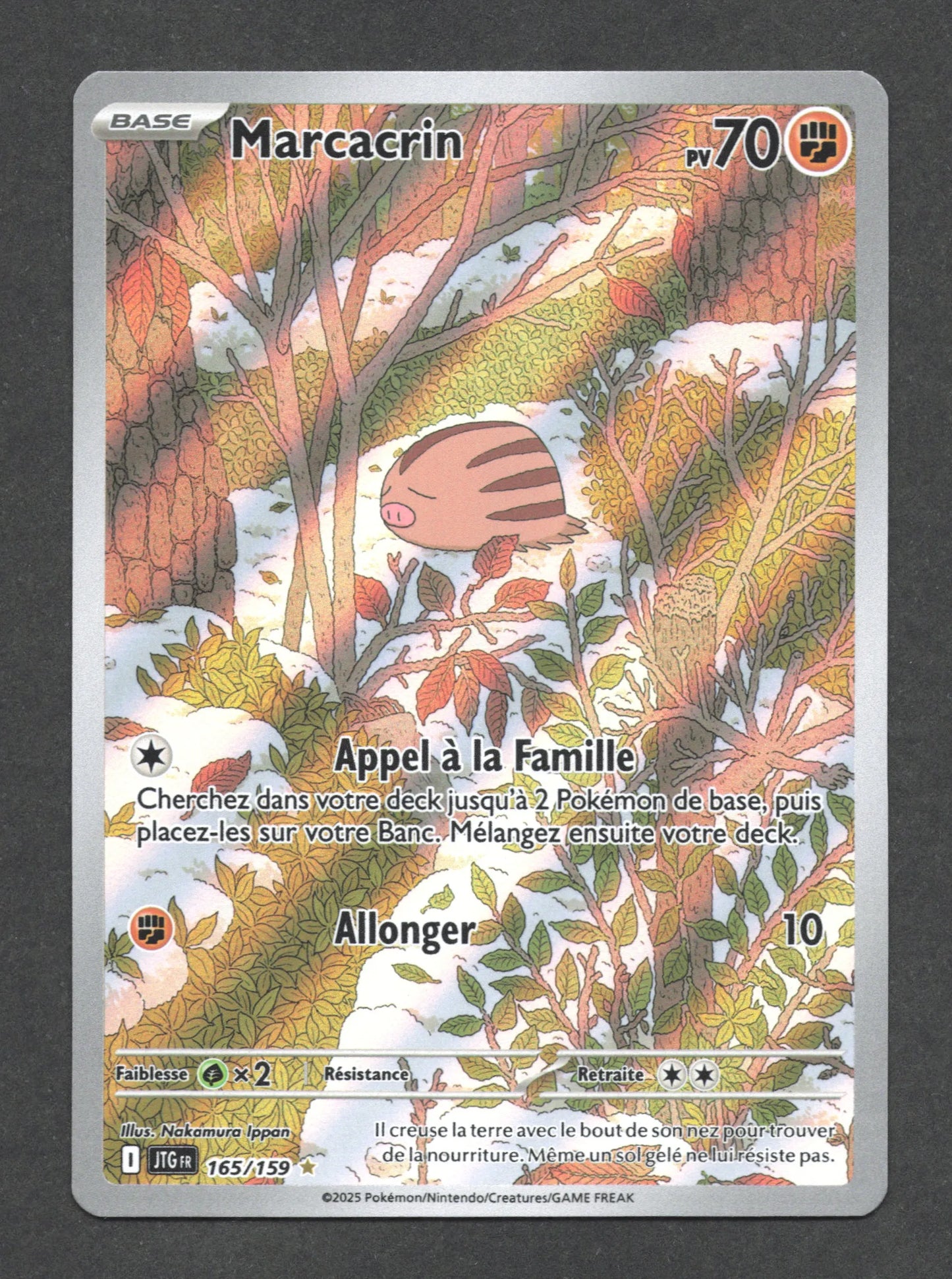 165/159 Marcacrin AR - Aventures Ensemble