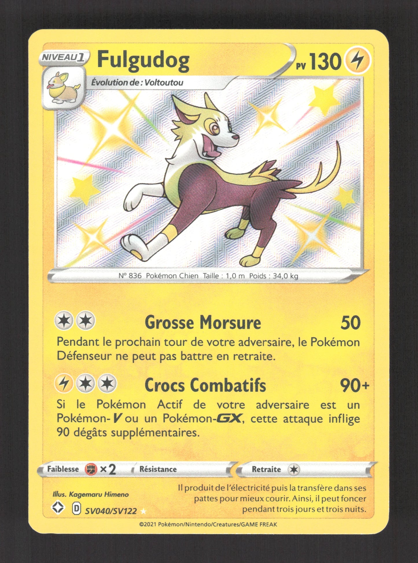 SV040/SV122 Fulgudog SHINY - Destinées Radieuses