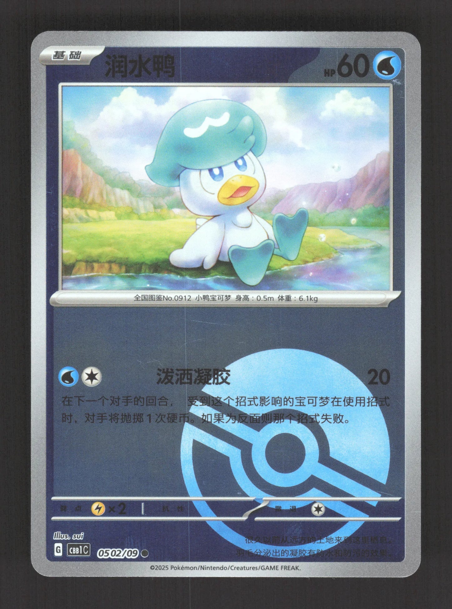 0502/09 Coiffeton POKEBALL CN - Inconnu