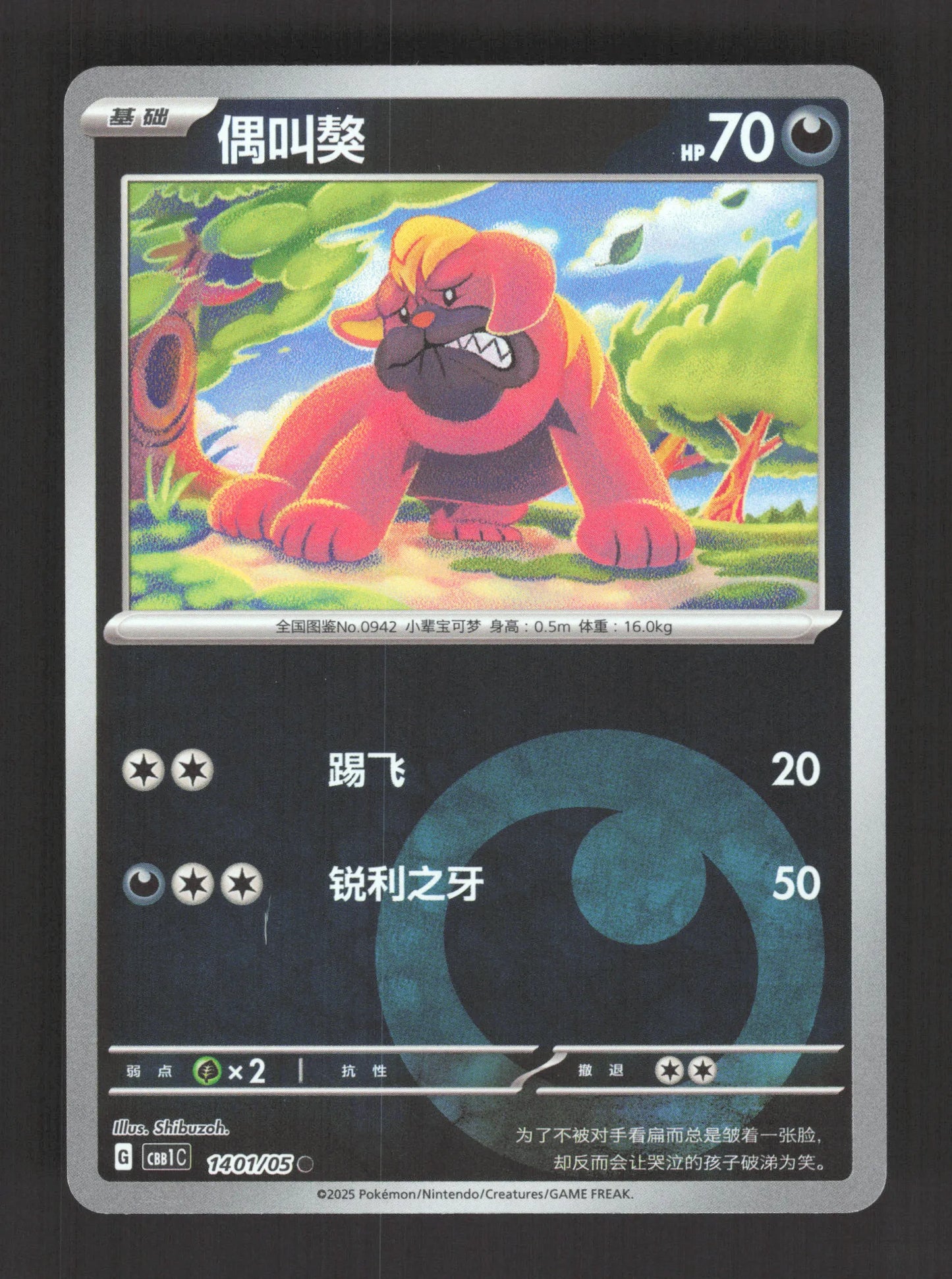 1401/05 Grondogue REVERSE ENERGIE CN - Chinois