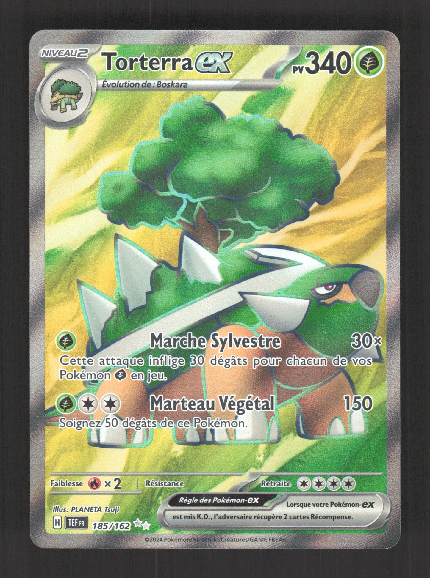 185/162 Torterra EX - Forces Temporelles