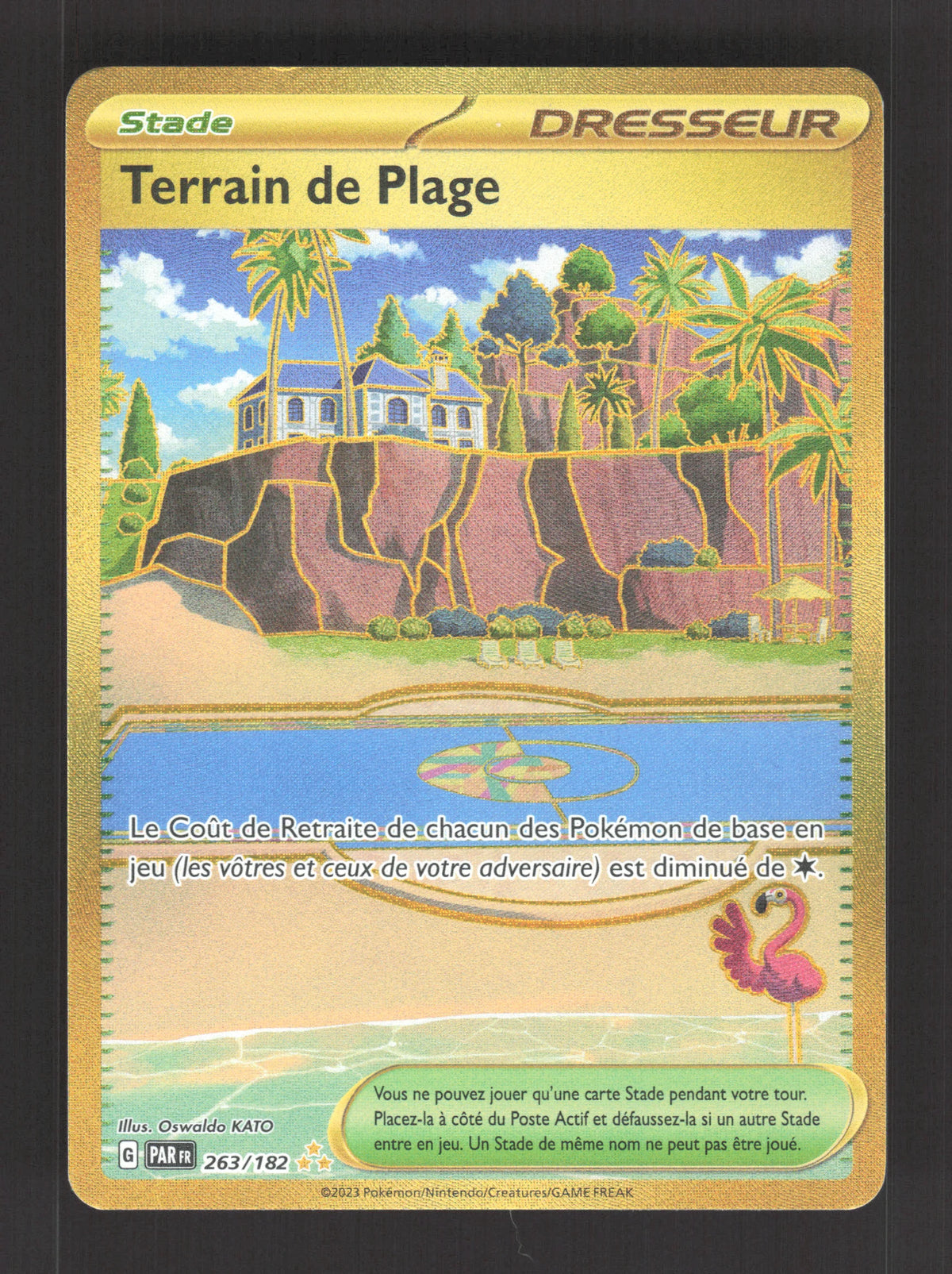 263/182 Terrain de Plage DRESSEUR - Faille Paradoxe