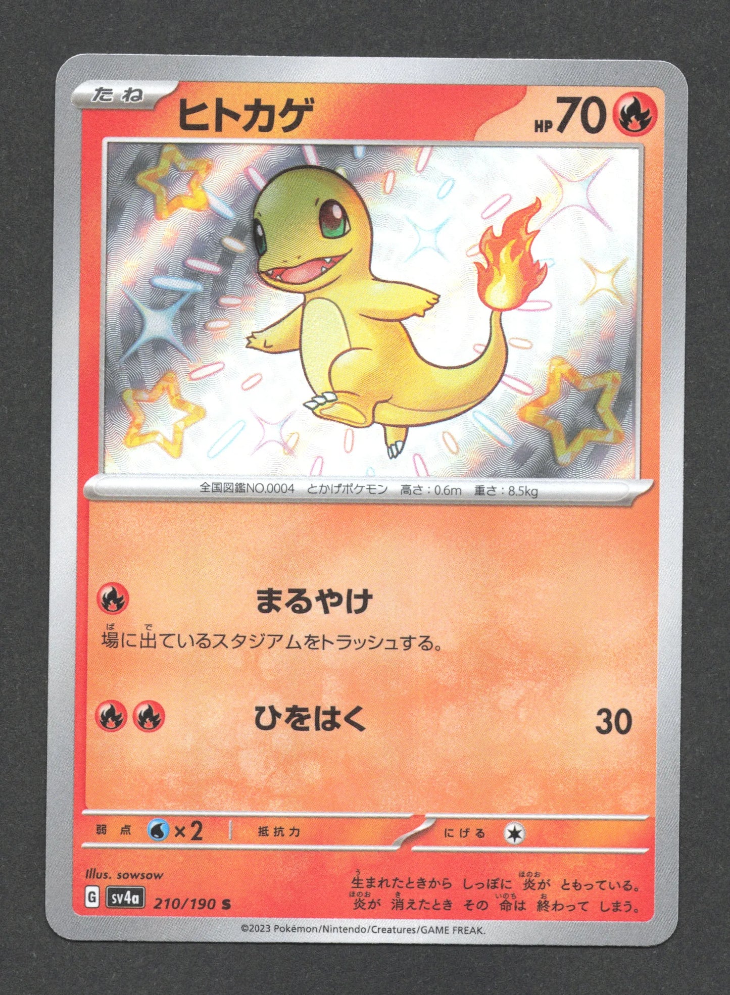 210/190 Salameche SHINY JP - Shiny Treasure ex