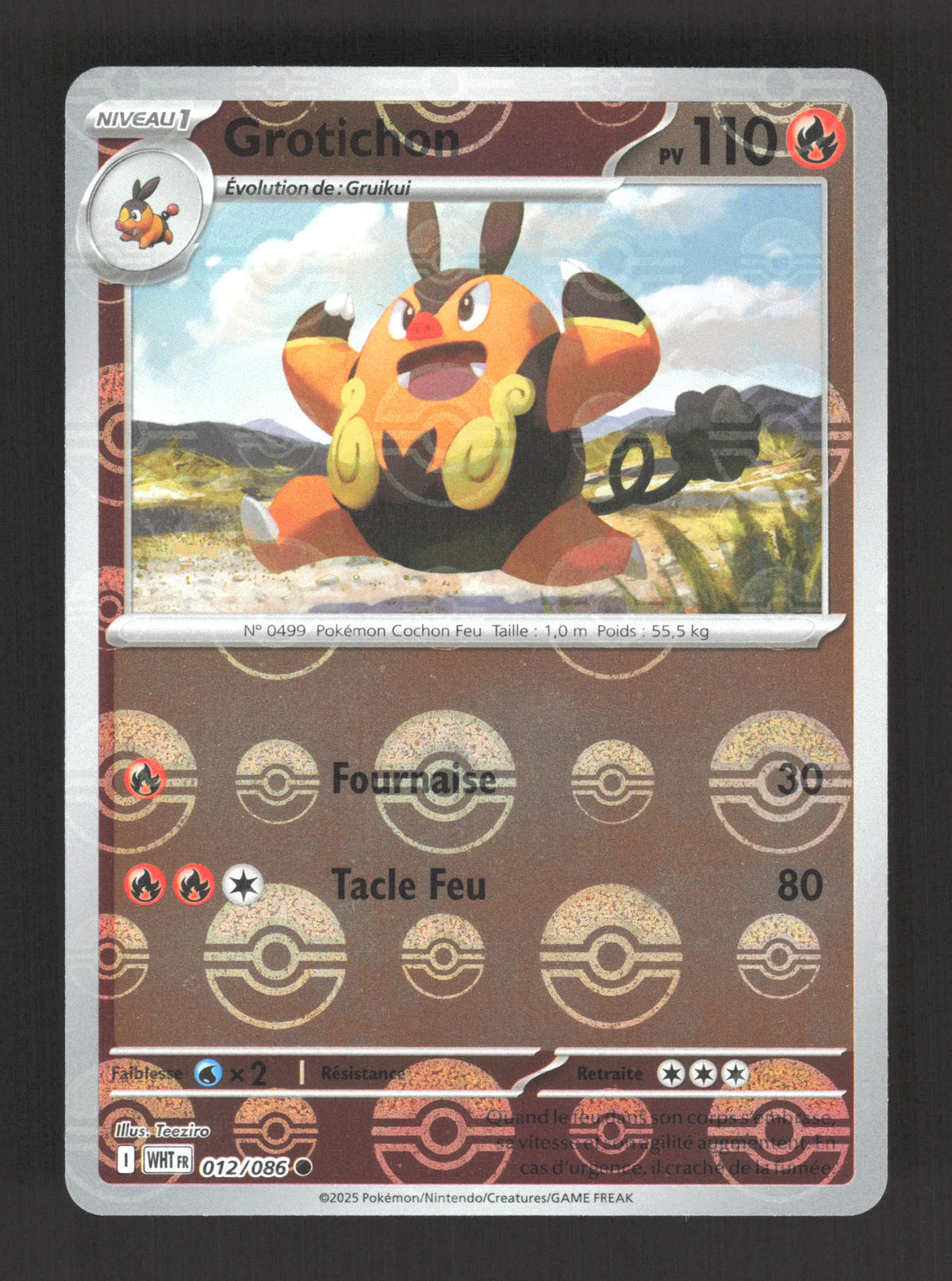 012/086 Grotichon POKEBALL - Flamme Blanche