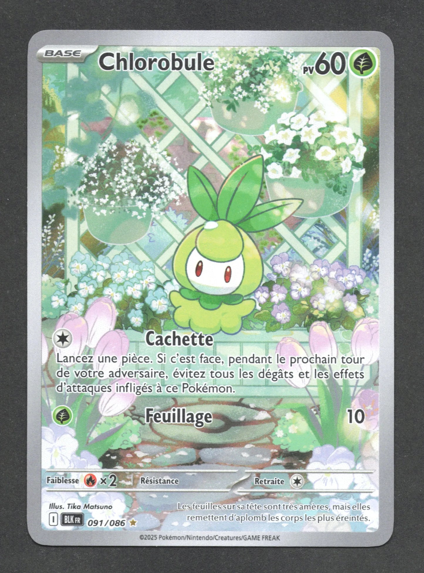 091/086 Chlorobule AR - Foudre Noire