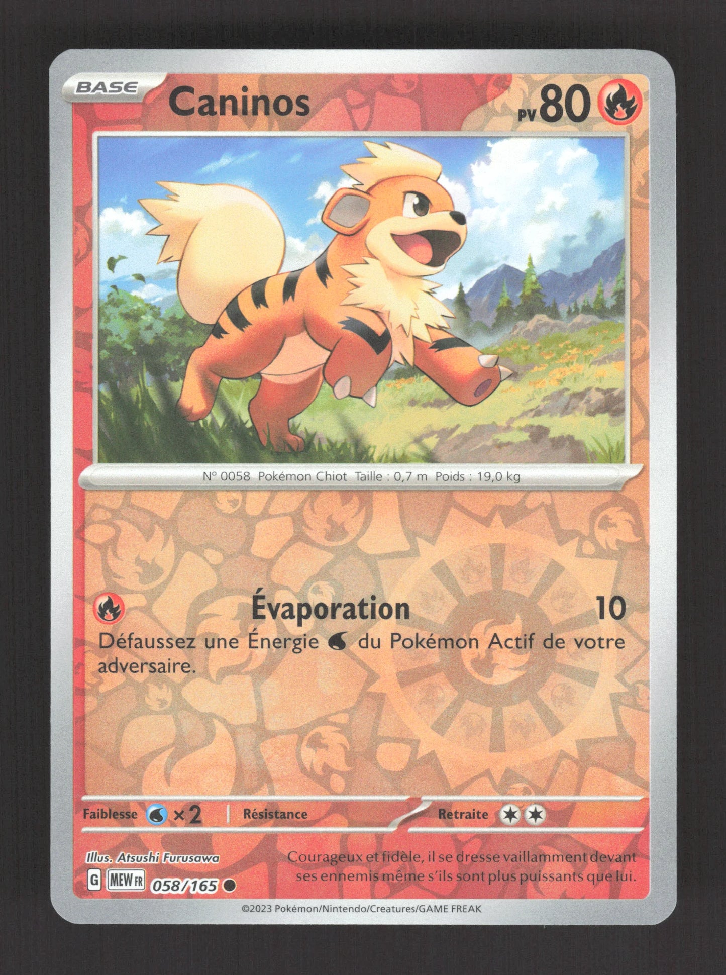 058/165 Caninos REVERSE - 151