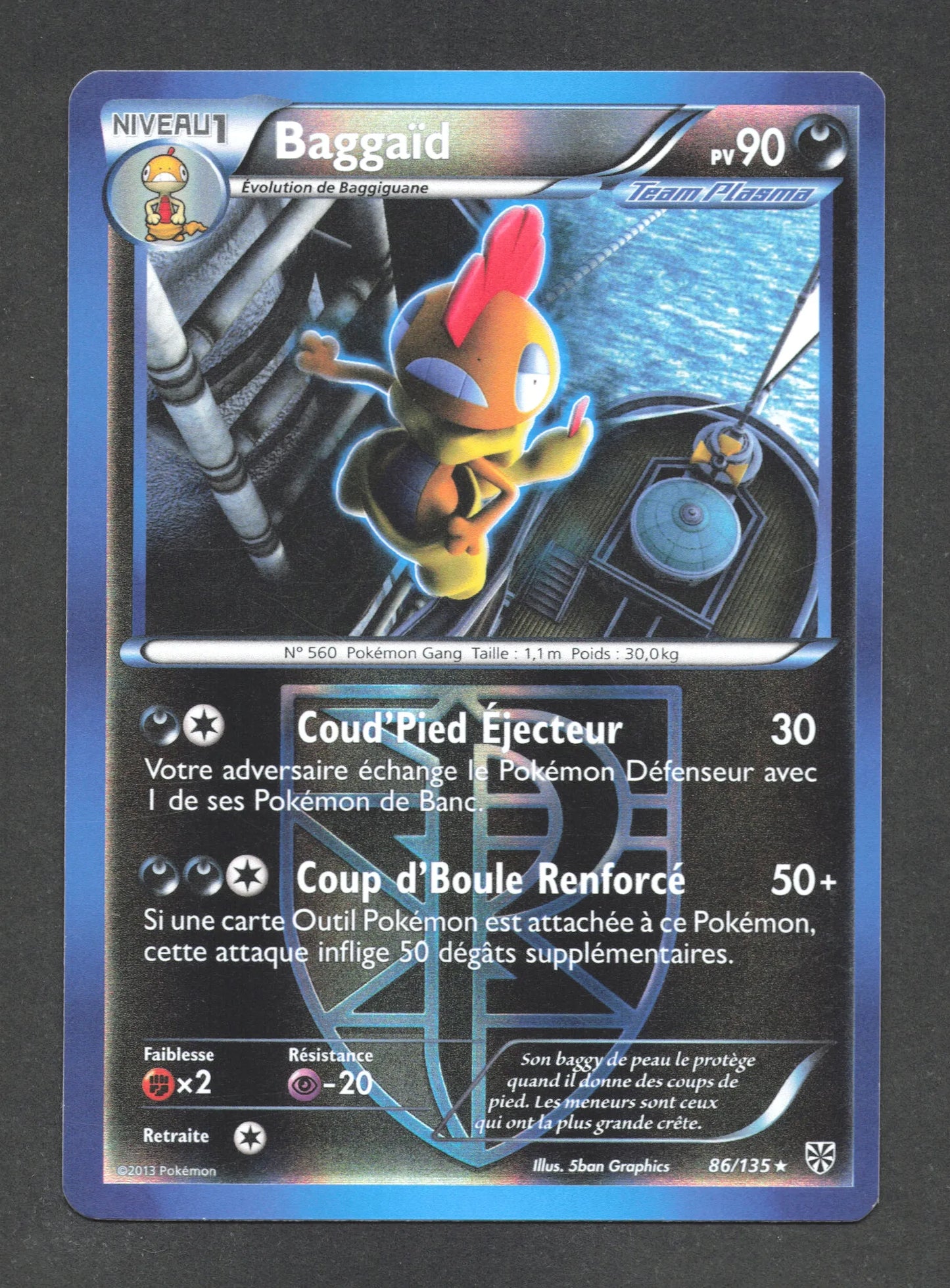 86/135 Baggaid REVERSE - Tempête Plasma