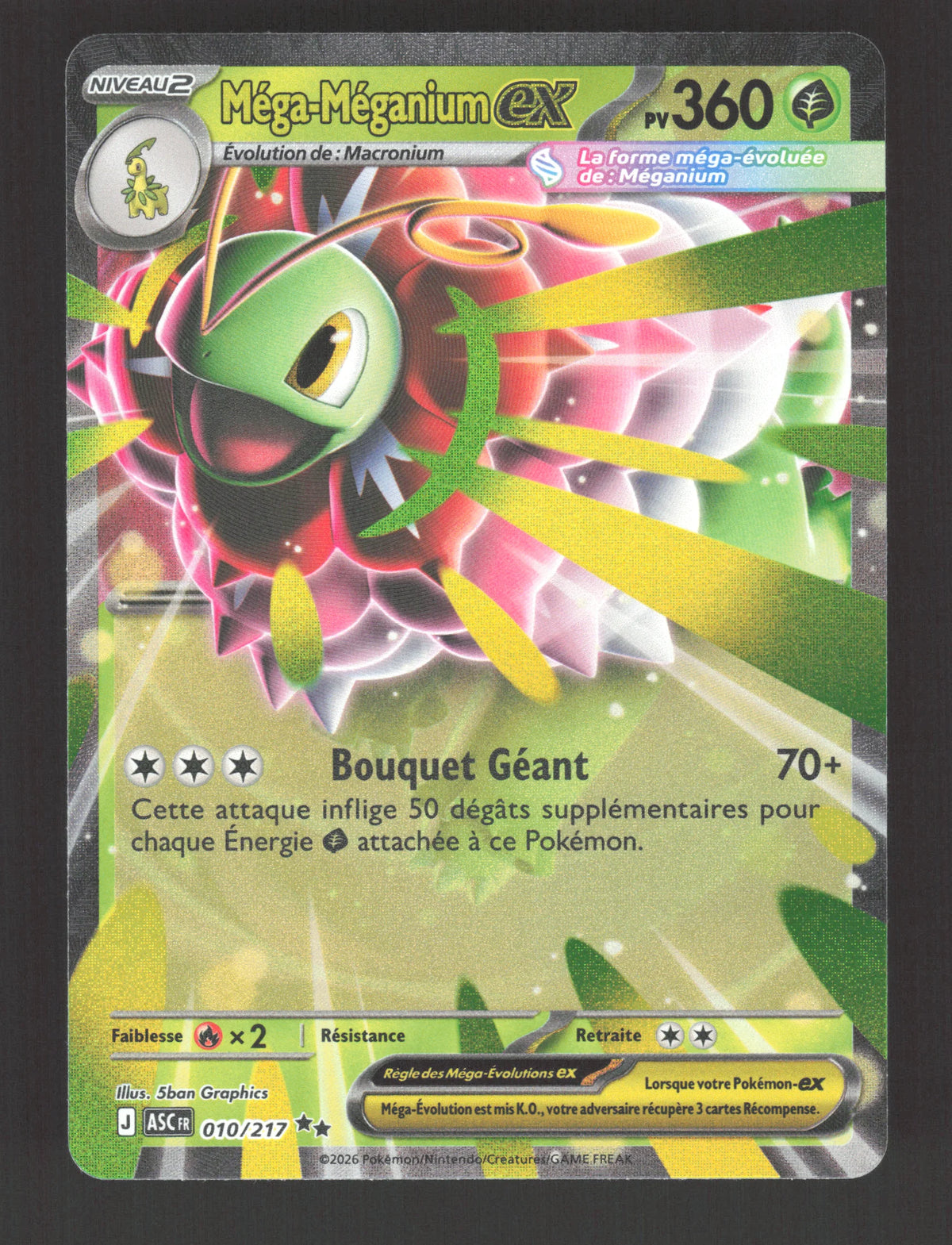 010/217 Mega Meganium EX - Héros Transcendants