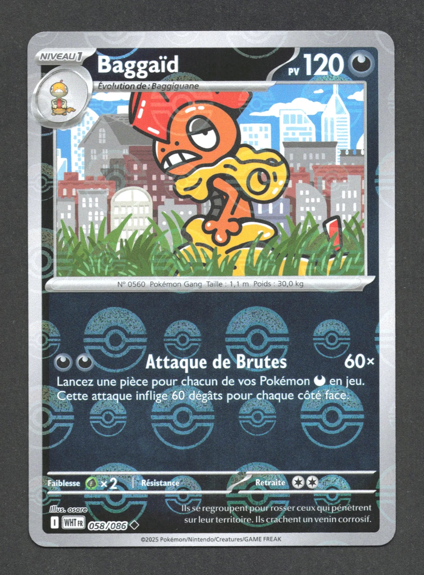 058/086 Baggaid POKEBALL - Flamme Blanche - Pokeball