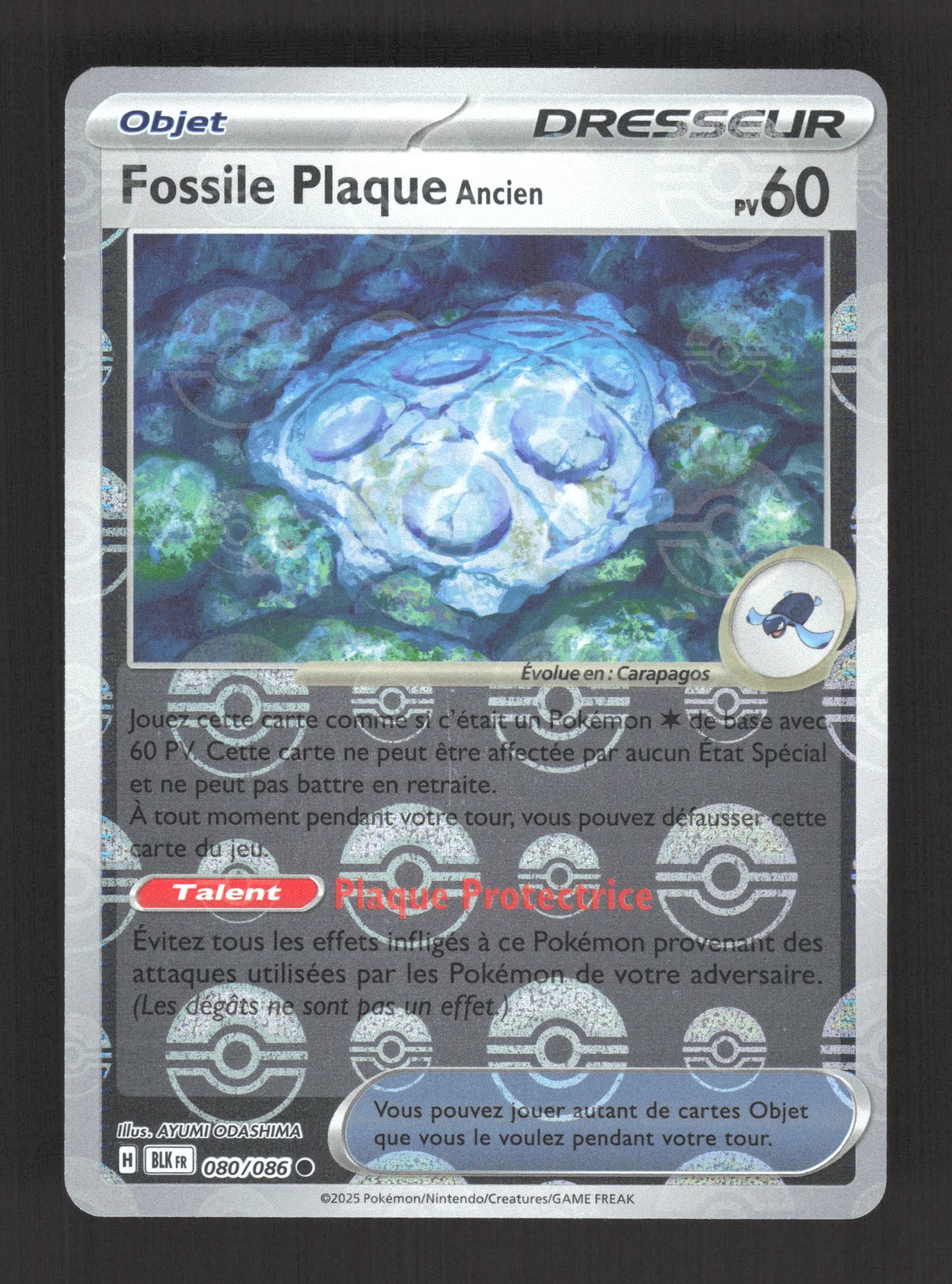 080/086 Fossile Plaque POKEBALL - Foudre Noire