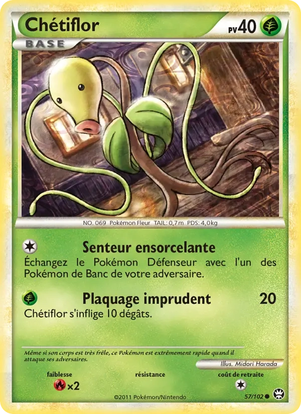 57/102 Chetiflor CO - Triomphe